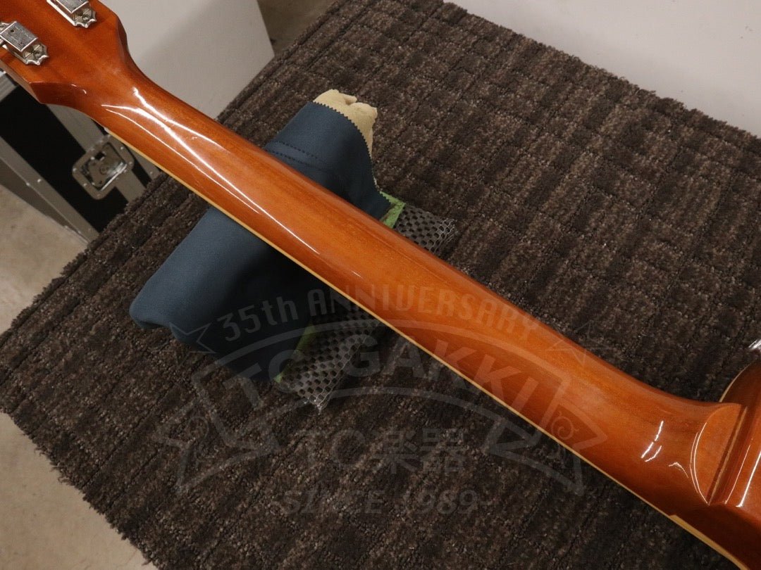 1955 Les Paul Standard Mod - TC楽器 - TCGAKKI