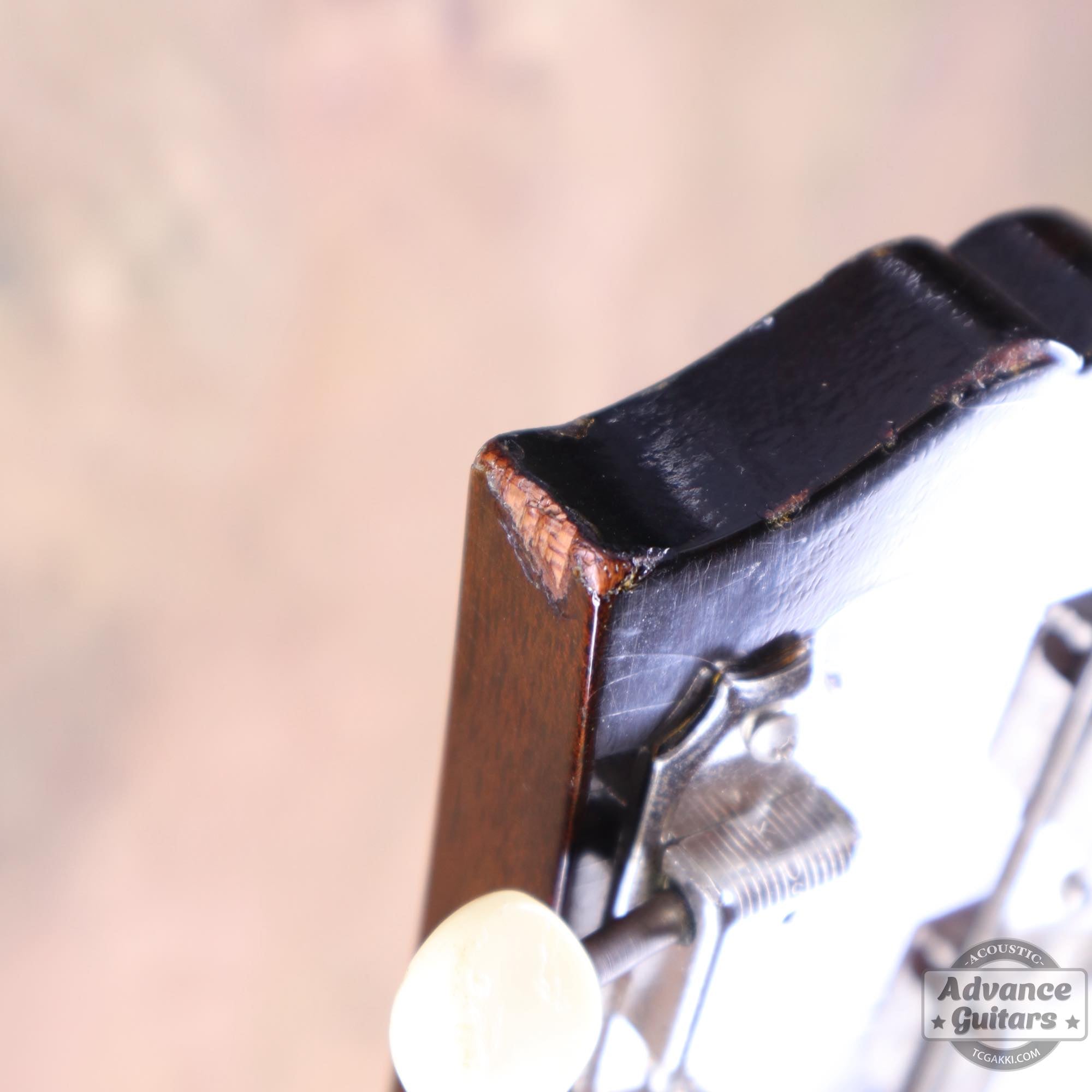 1956年製 J - 45 - TC楽器 - TCGAKKI