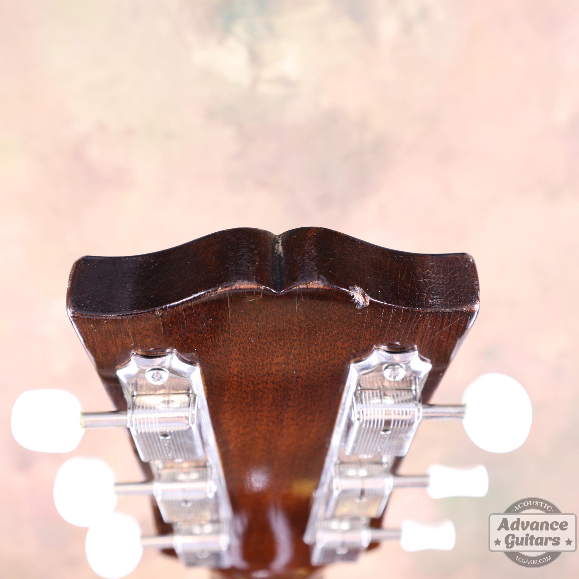 1957年製 CF - 100E - TC楽器 - TCGAKKI