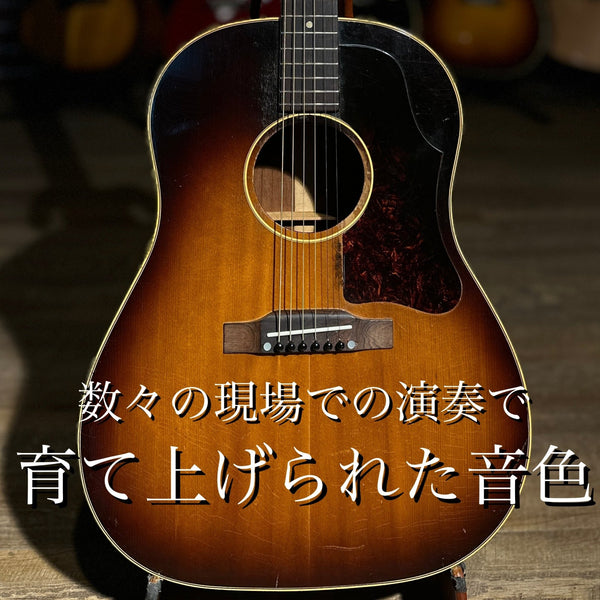ヴィンテージアコースティックギター - TC楽器 - TCGAKKI