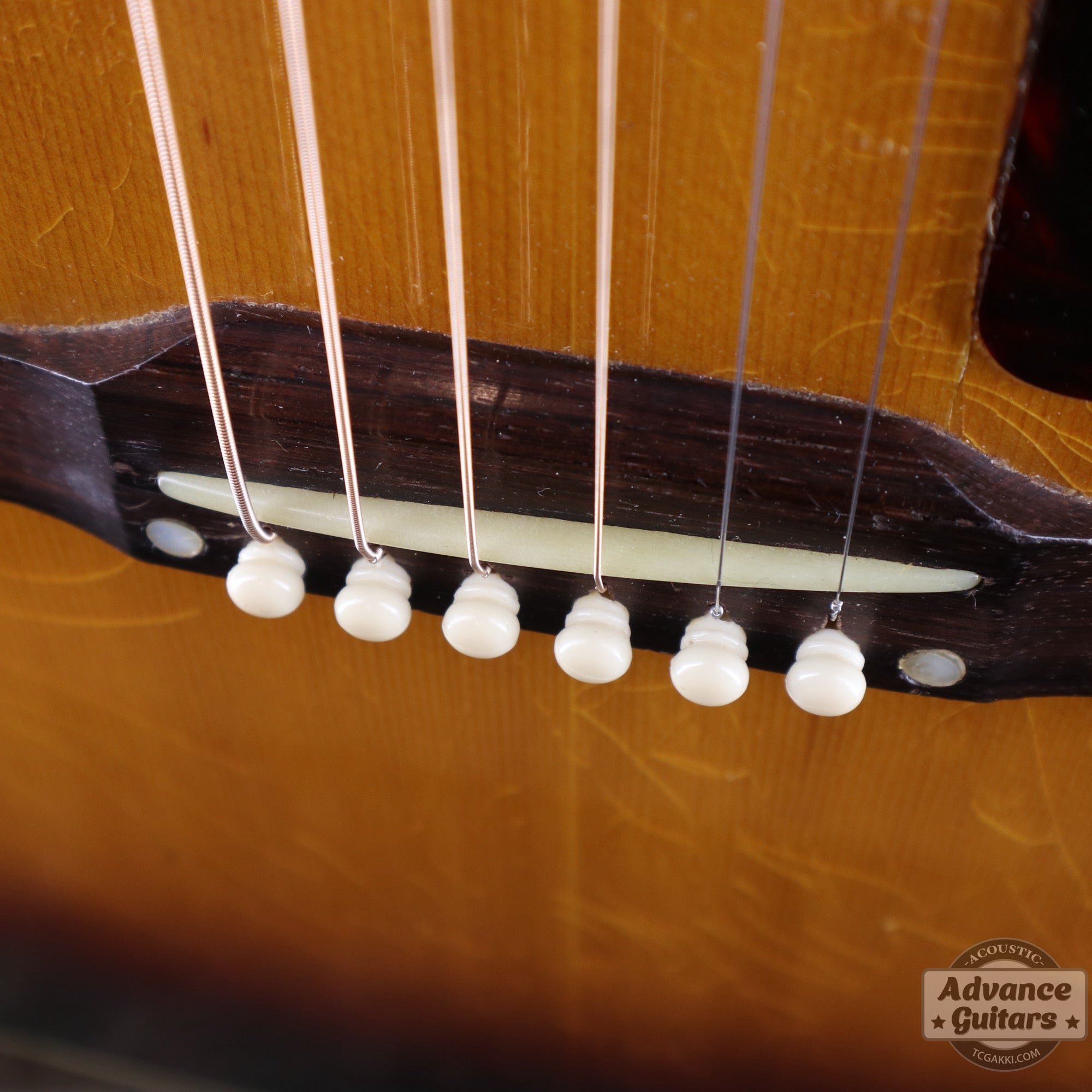 1957年製 Southern Jumbo - TC楽器 - TCGAKKI