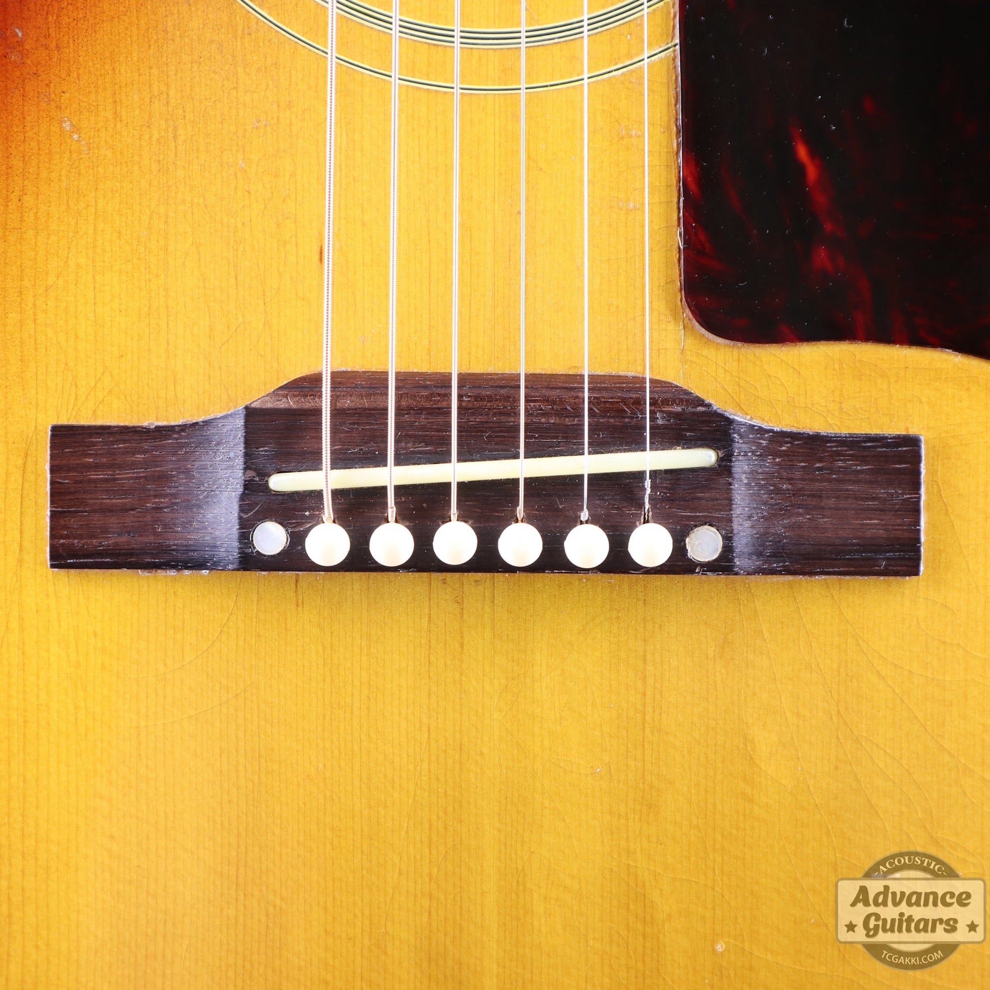 1957年製 Southern Jumbo - TC楽器 - TCGAKKI