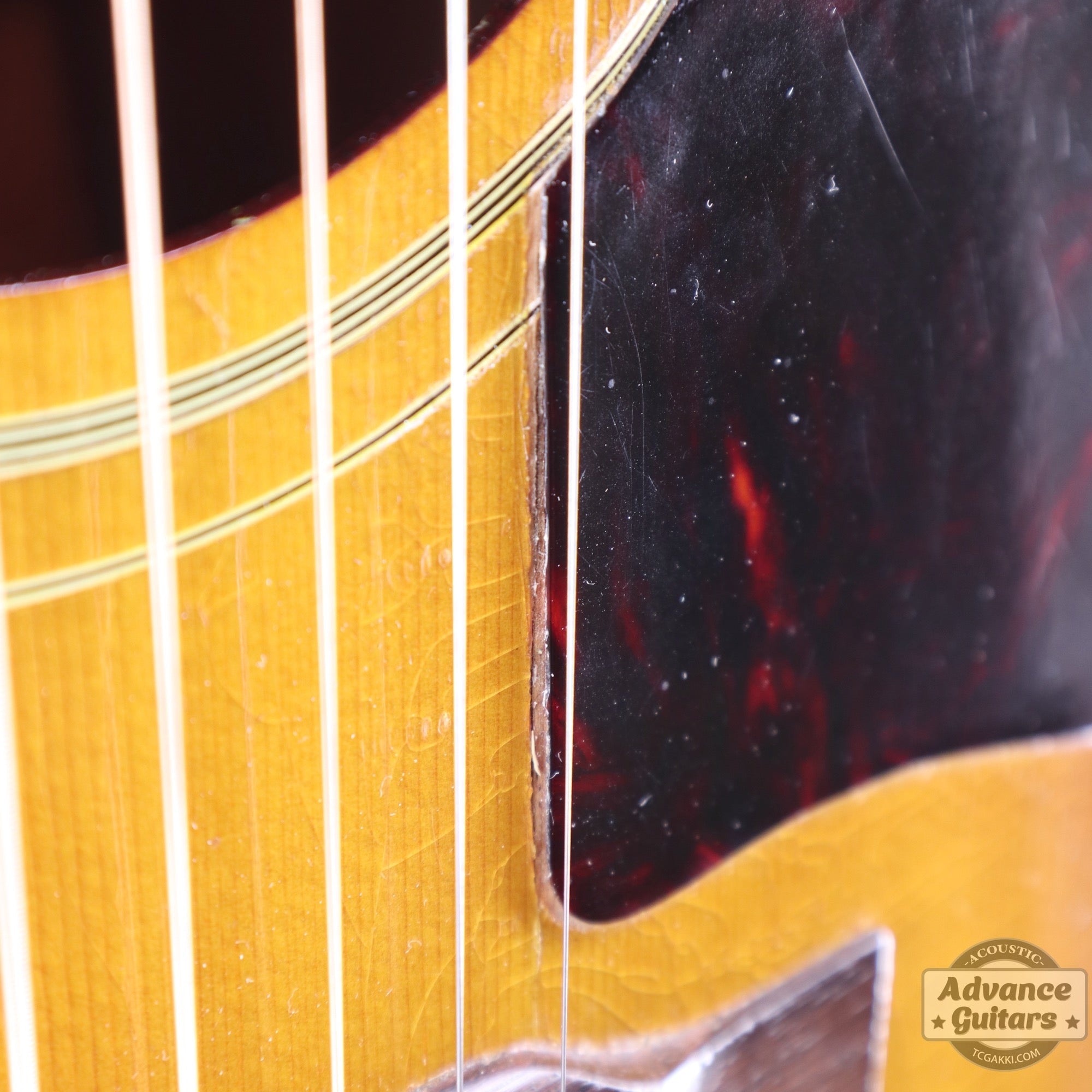 1957年製 Southern Jumbo - TC楽器 - TCGAKKI