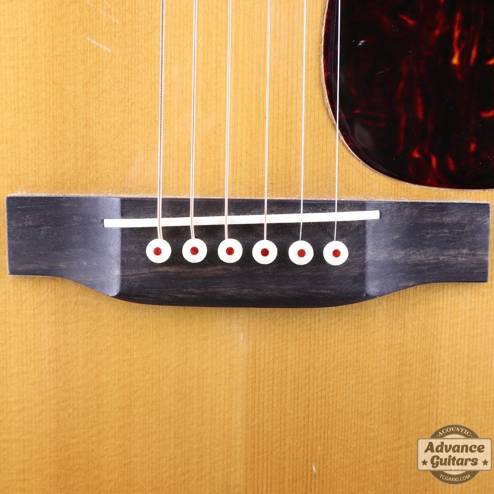 1961年製 D - 28 - TC楽器 - TCGAKKI