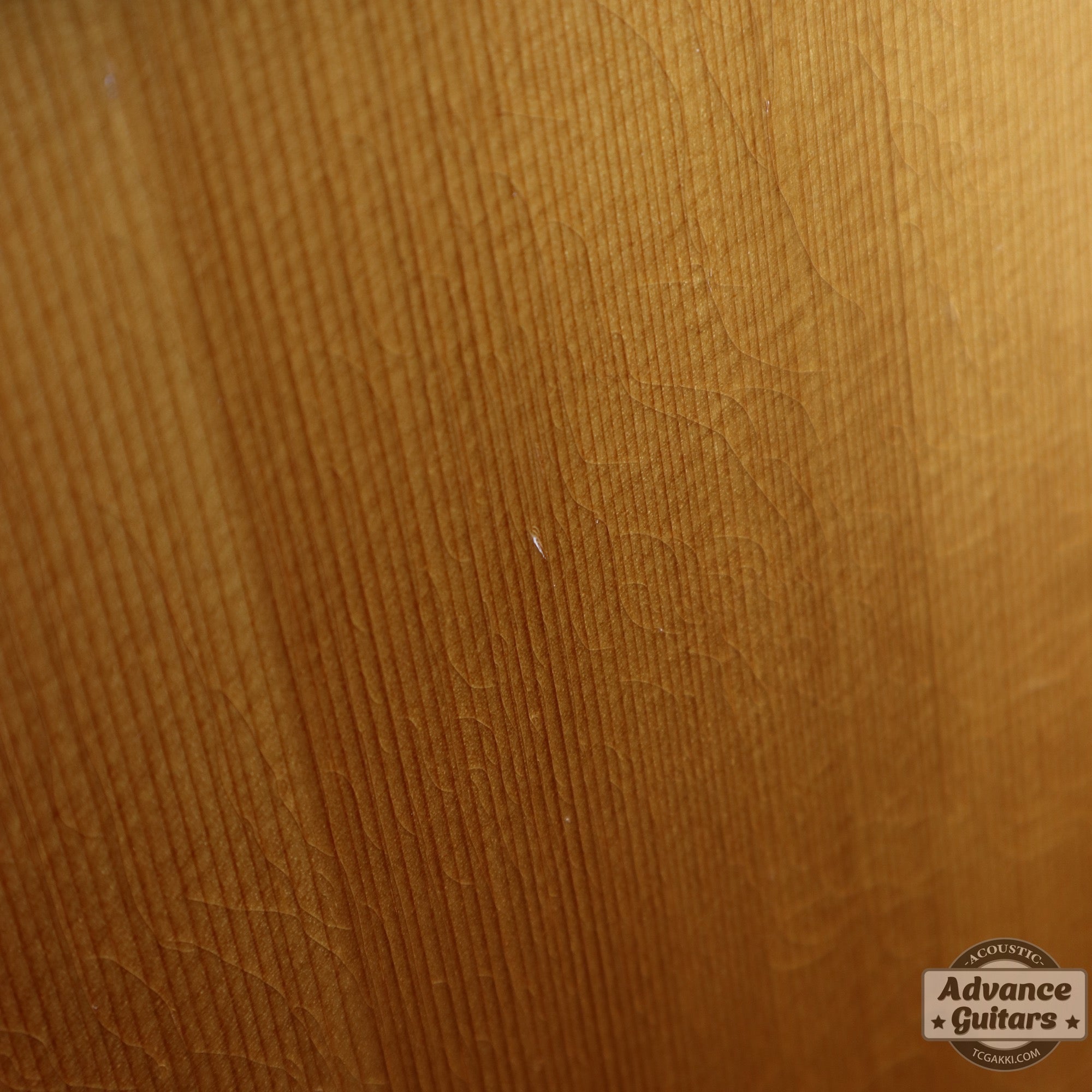 1961年製 D - 28 - TC楽器 - TCGAKKI