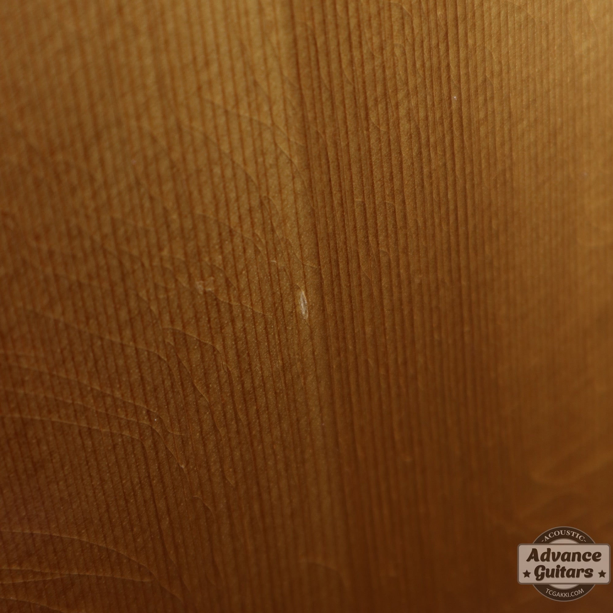 1961年製 D - 28 - TC楽器 - TCGAKKI