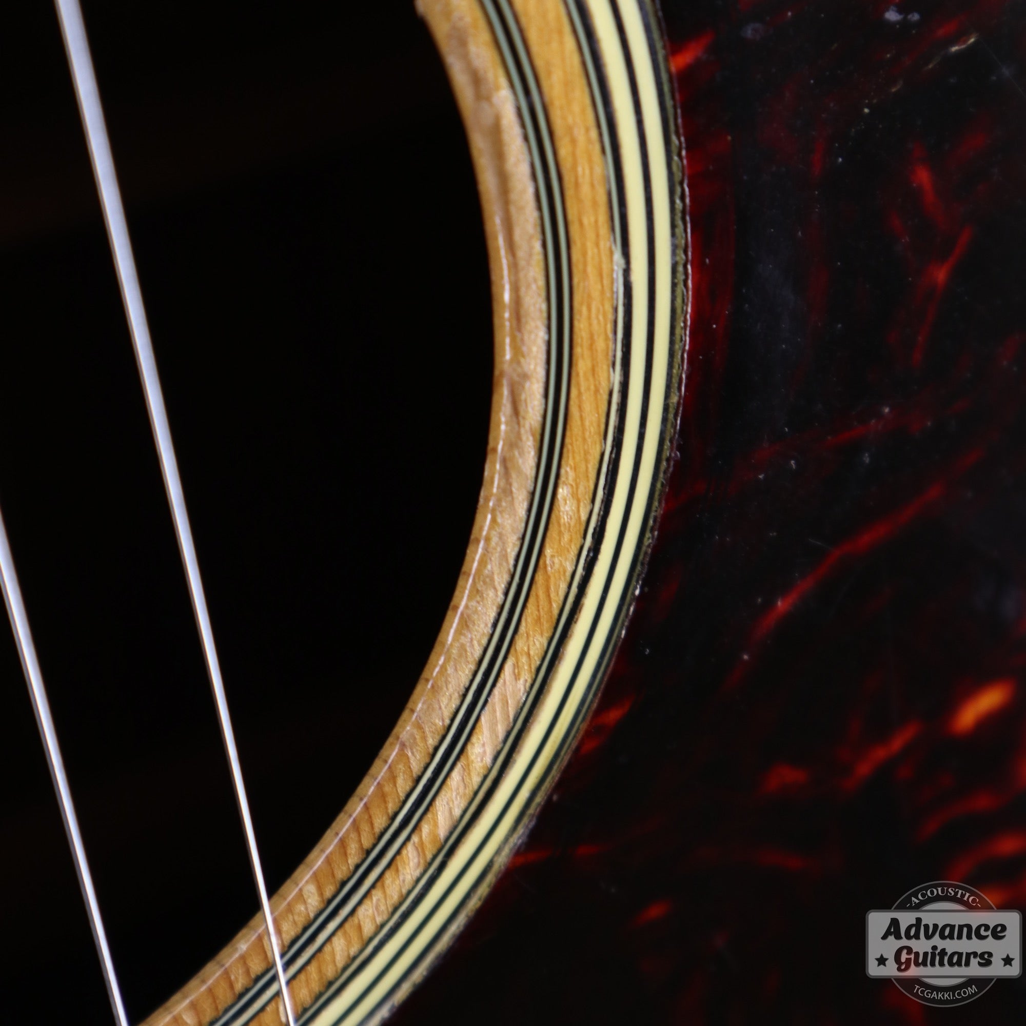 1961年製 D - 28 - TC楽器 - TCGAKKI