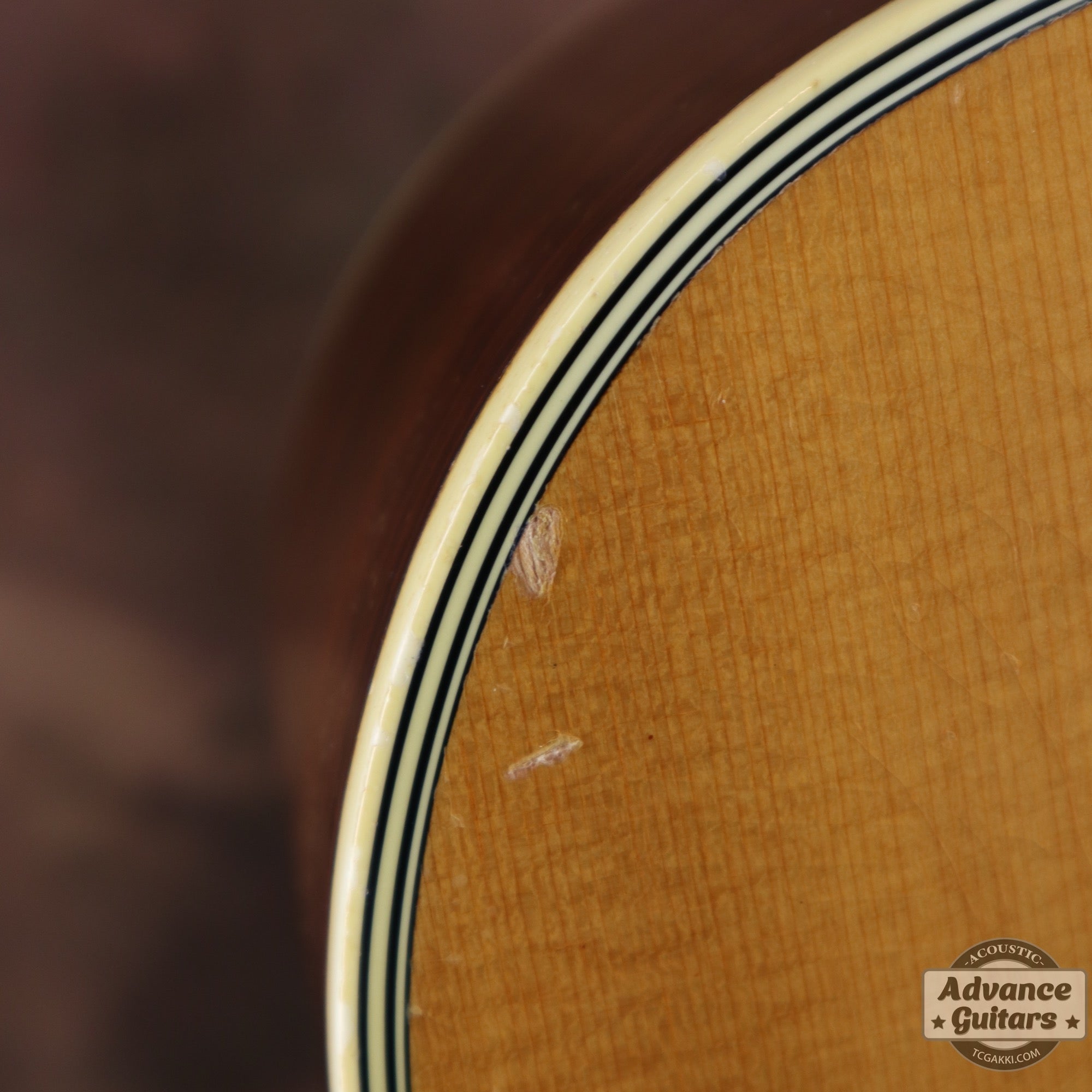 1961年製 D - 28 - TC楽器 - TCGAKKI