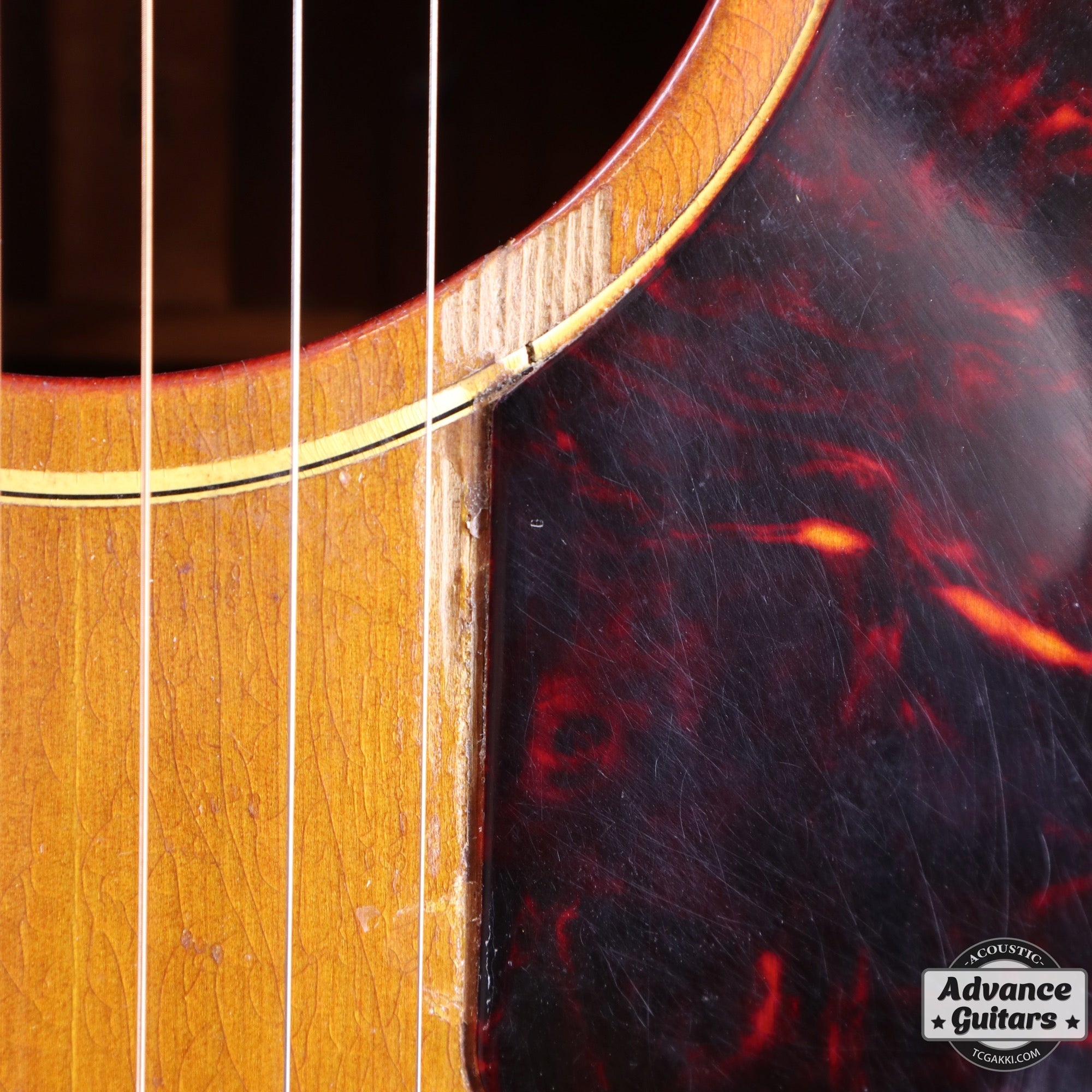 1961年製 J - 45 - TC楽器 - TCGAKKI