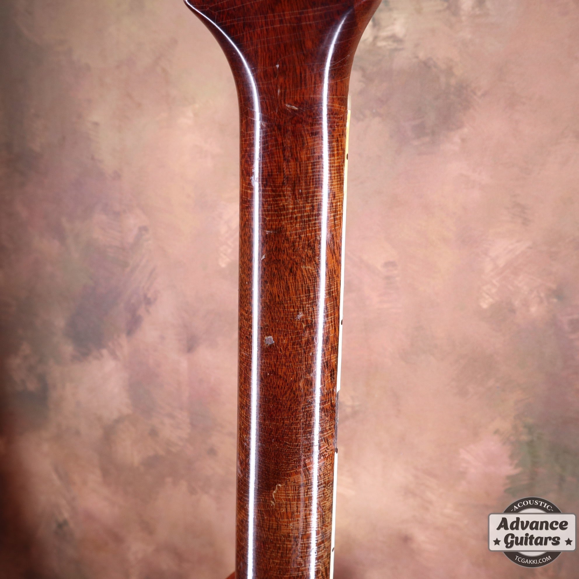 1961年製 Southern Jumbo - TC楽器 - TCGAKKI