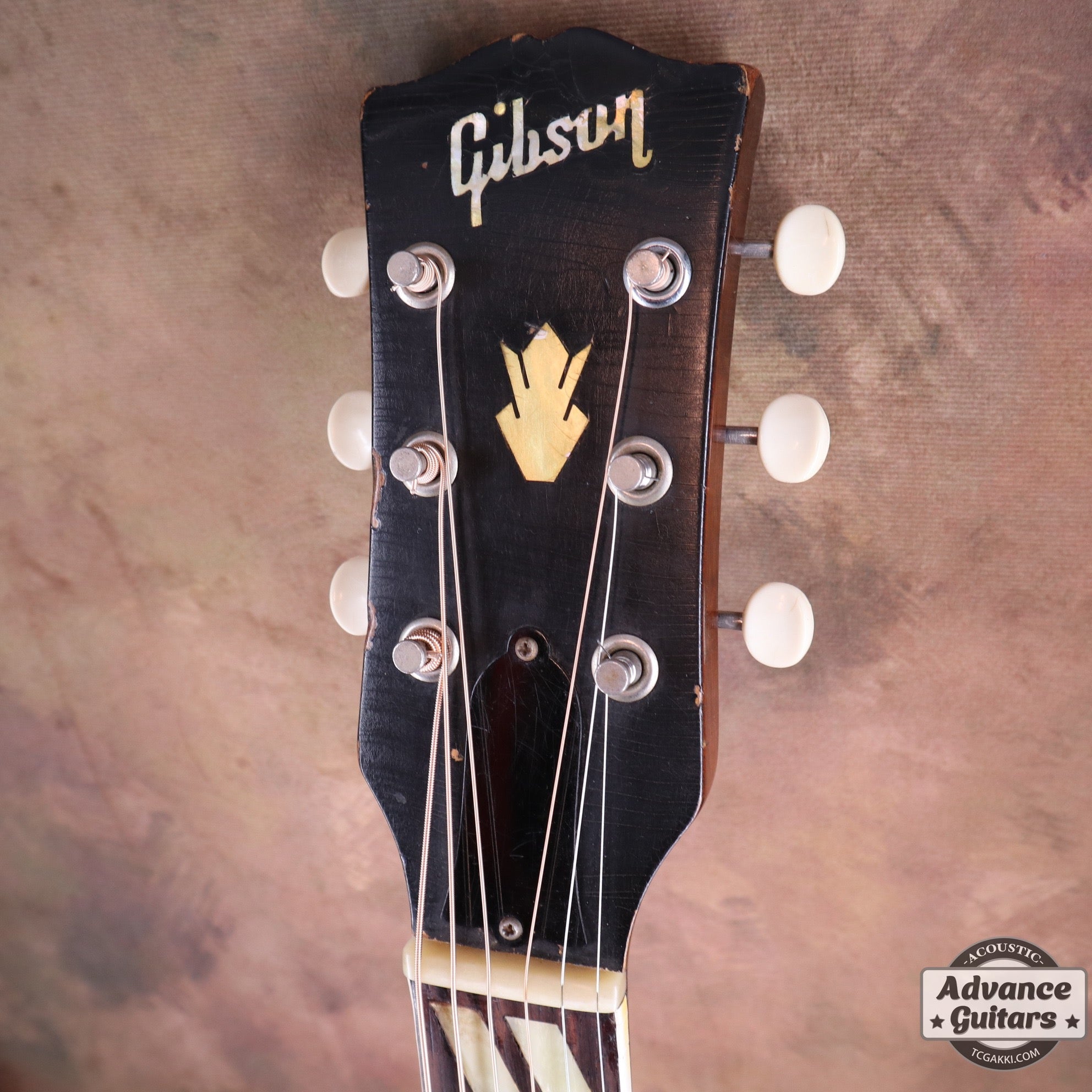 1961年製 Southern Jumbo - TC楽器 - TCGAKKI