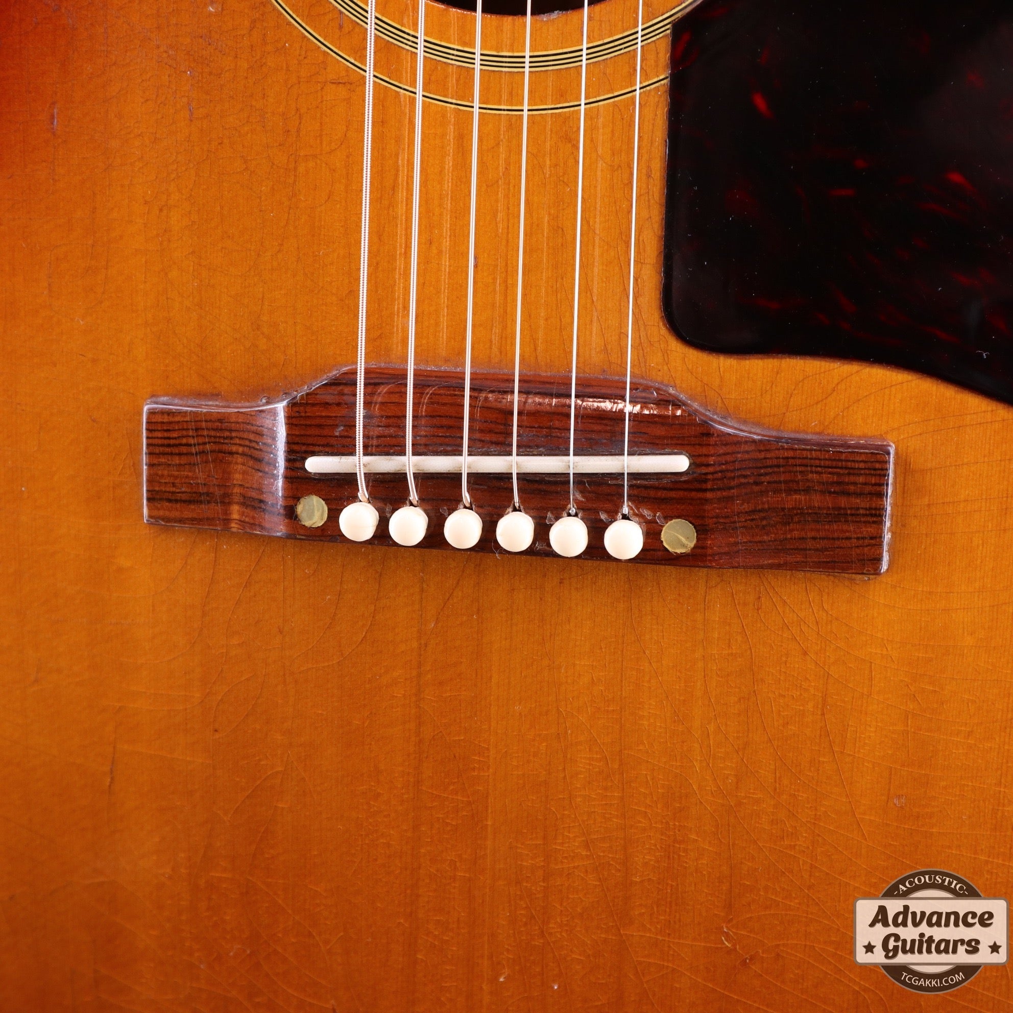 1961年製 Southern Jumbo - TC楽器 - TCGAKKI