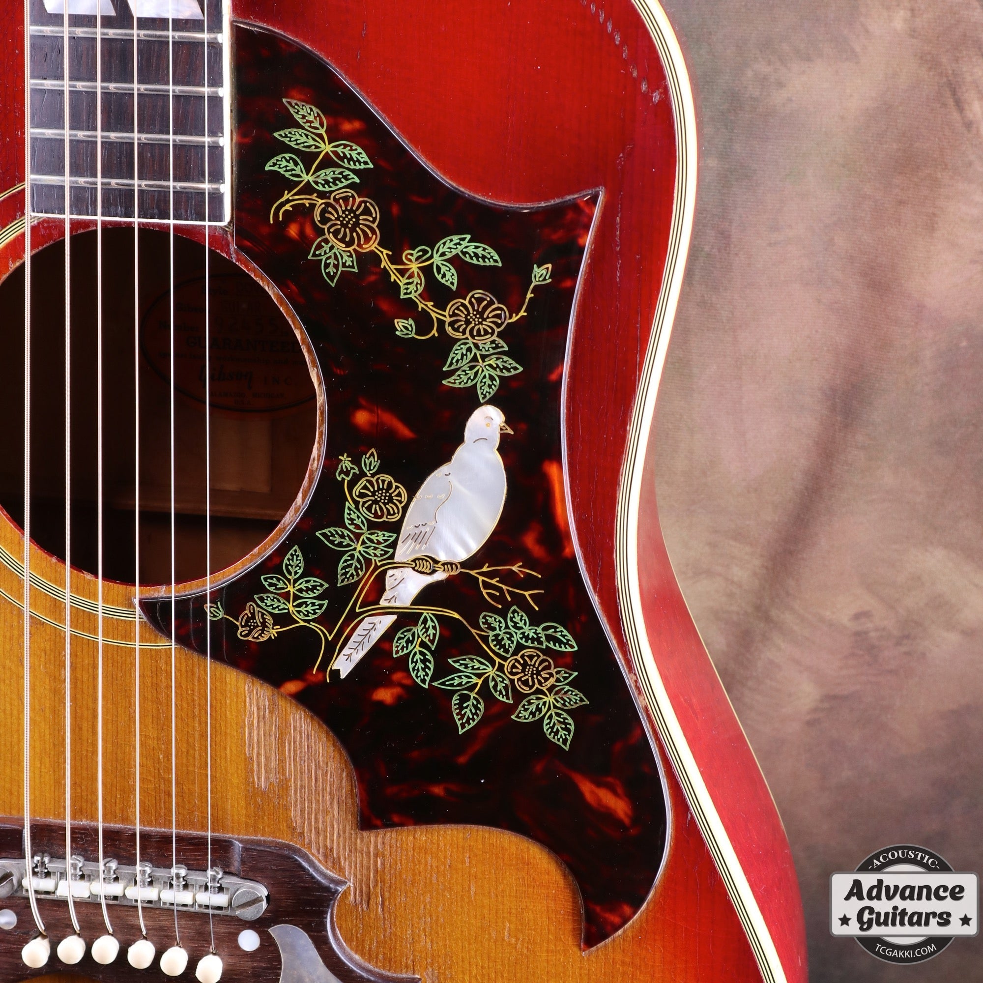 1962年製 Dove - TC楽器 - TCGAKKI