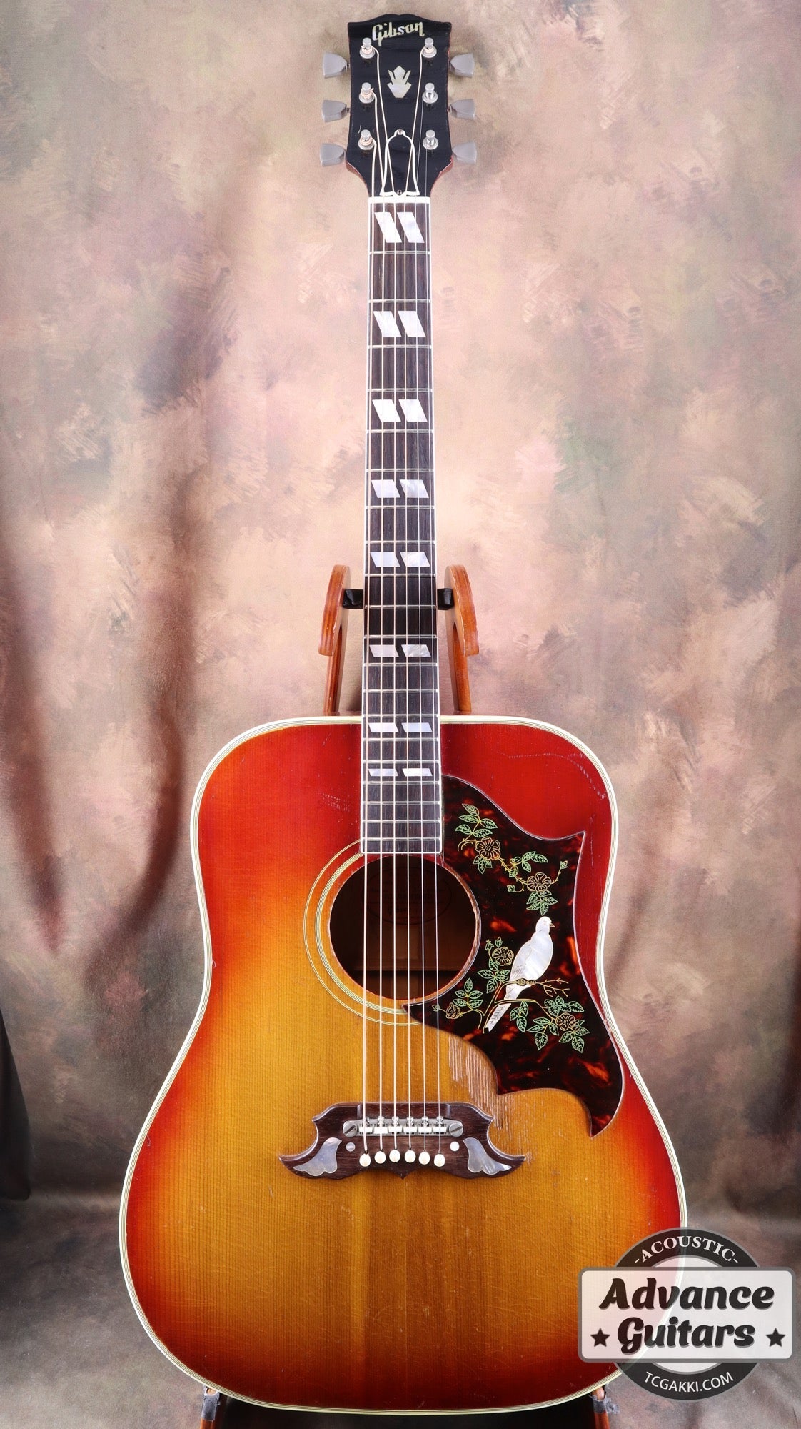 1962年製 Dove - TC楽器 - TCGAKKI