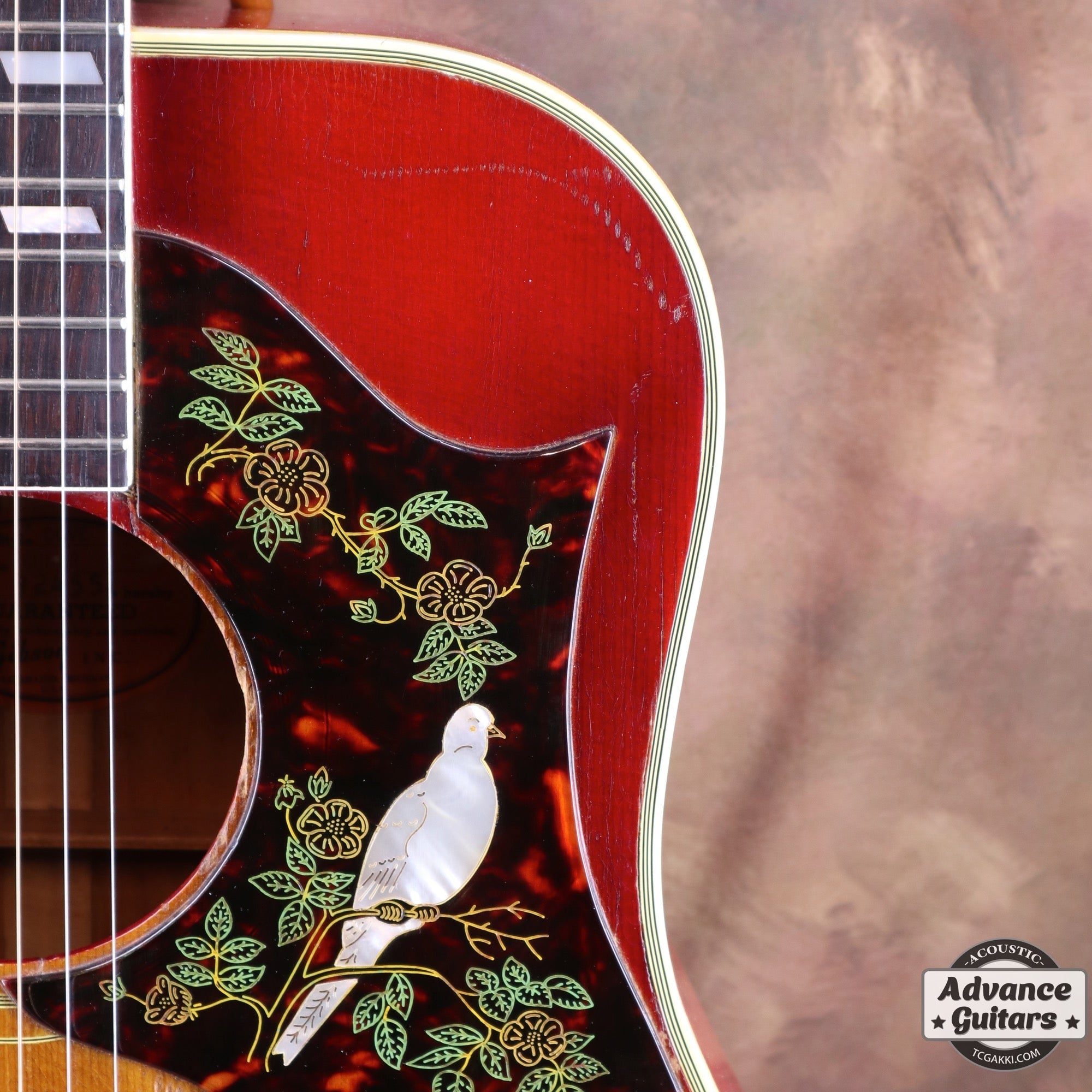 1962年製 Dove - TC楽器 - TCGAKKI