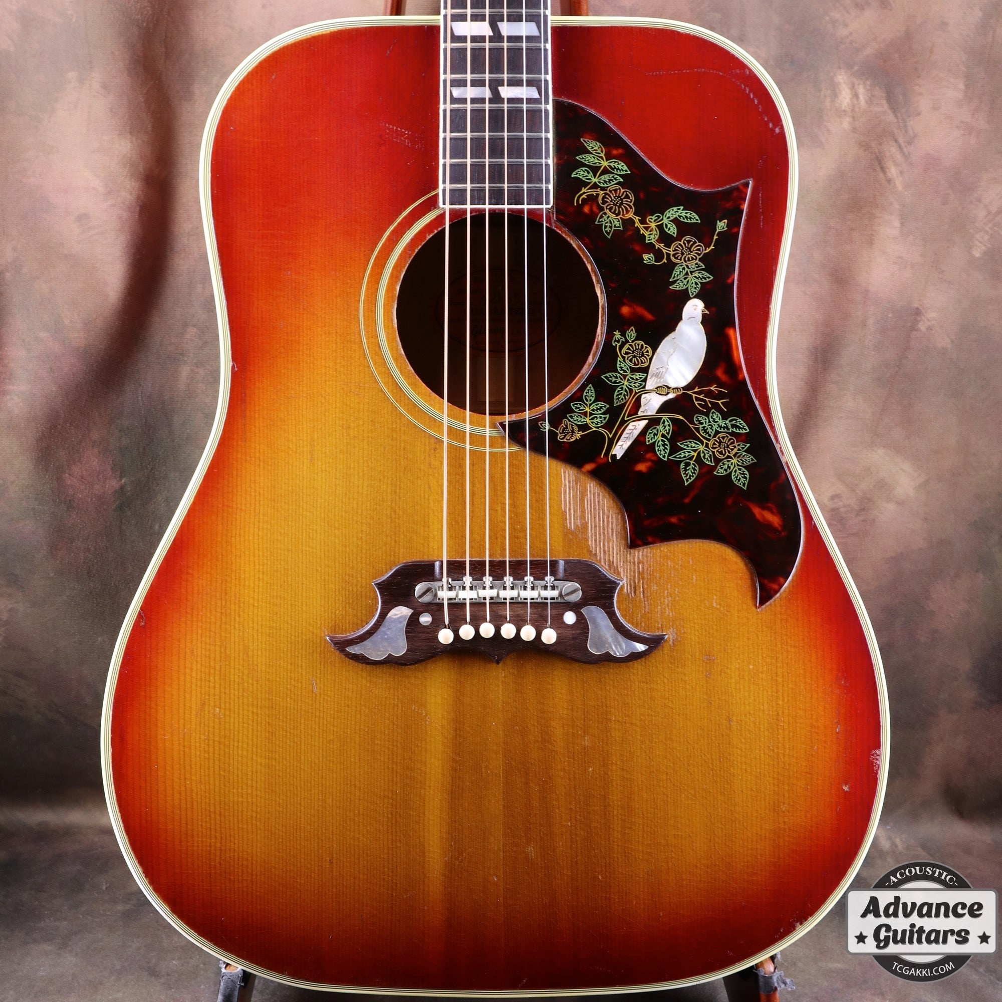 1962年製 Dove - TC楽器 - TCGAKKI