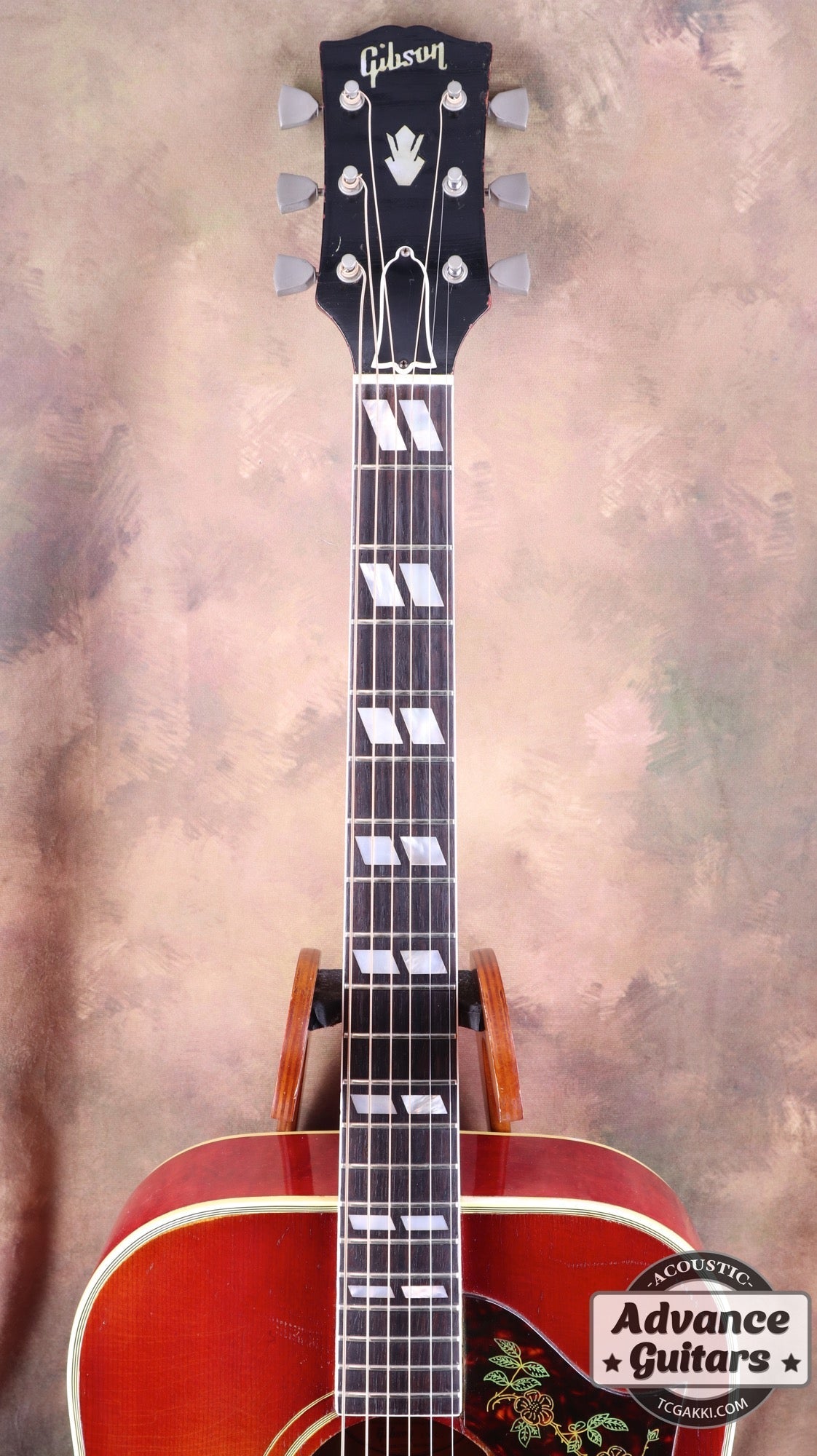 1962年製 Dove - TC楽器 - TCGAKKI