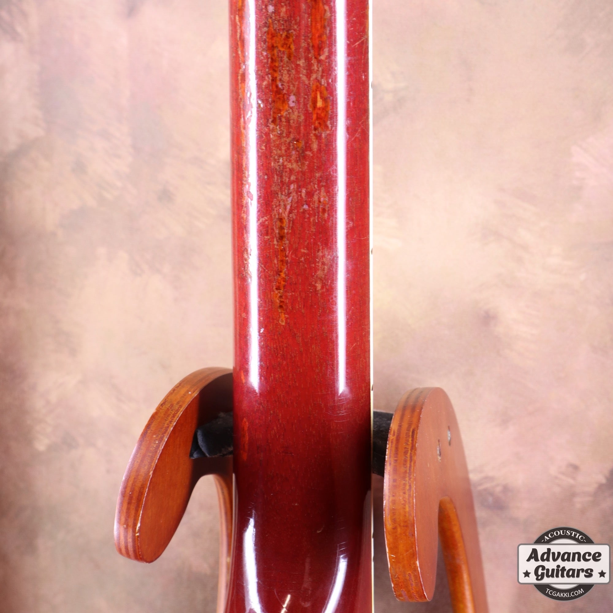 1962年製 Dove - TC楽器 - TCGAKKI