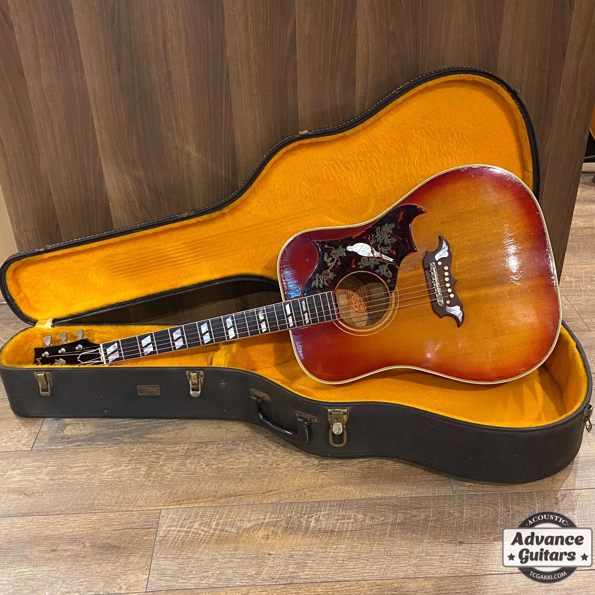 1962年製 Dove - TC楽器 - TCGAKKI