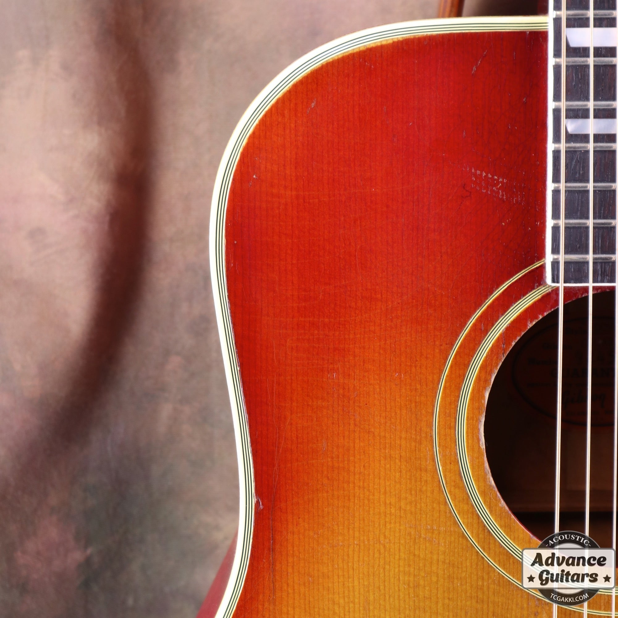 1962年製 Dove - TC楽器 - TCGAKKI