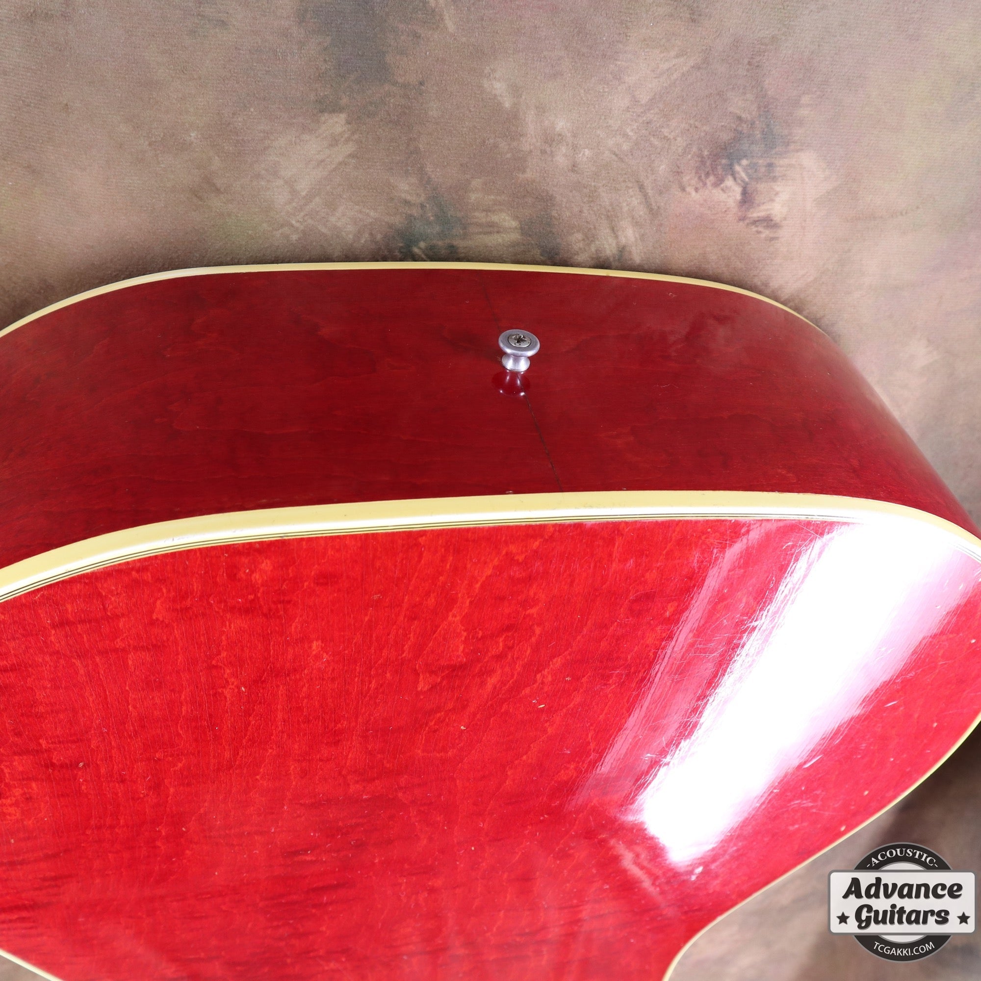 1962年製 Dove - TC楽器 - TCGAKKI