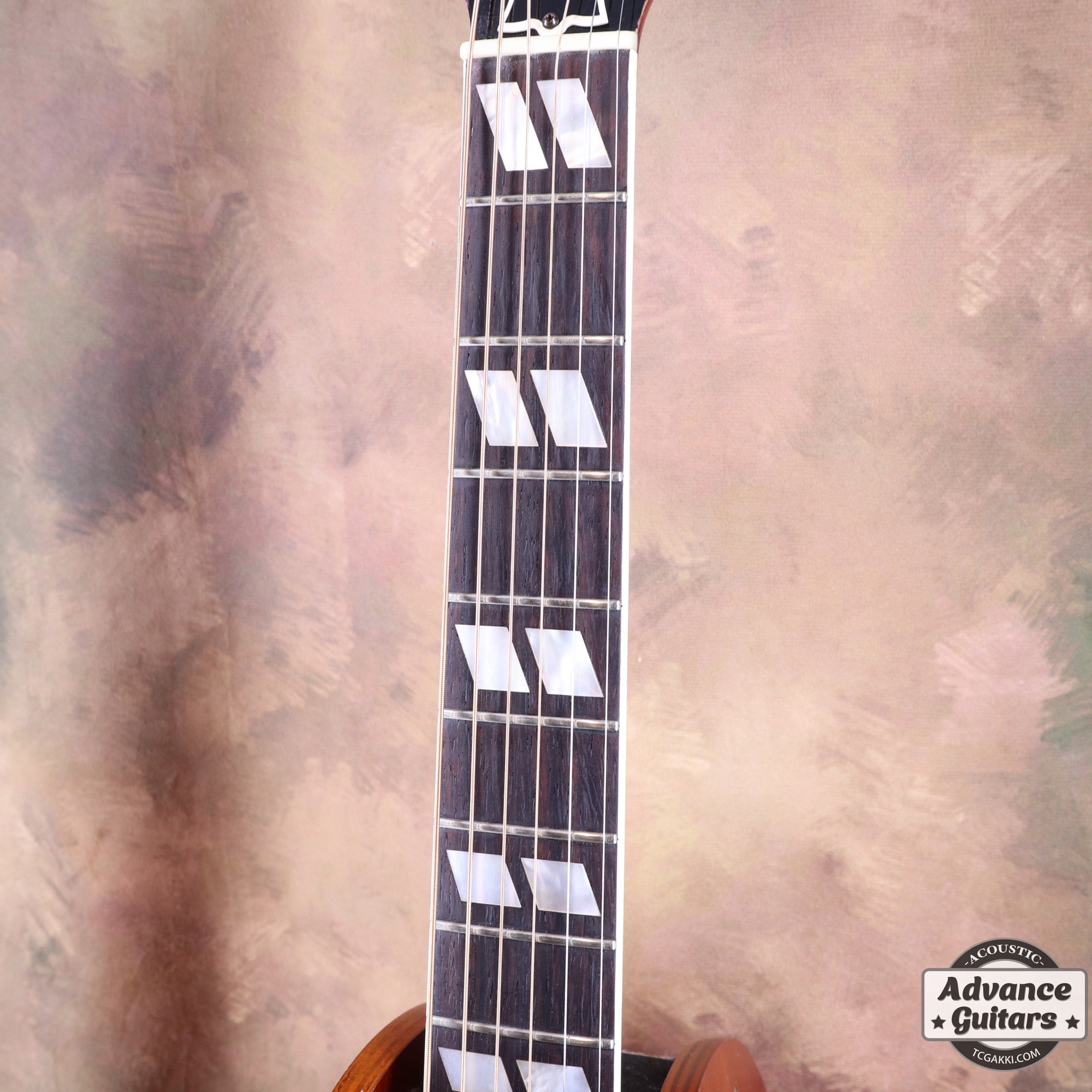 1962年製 Dove - TC楽器 - TCGAKKI