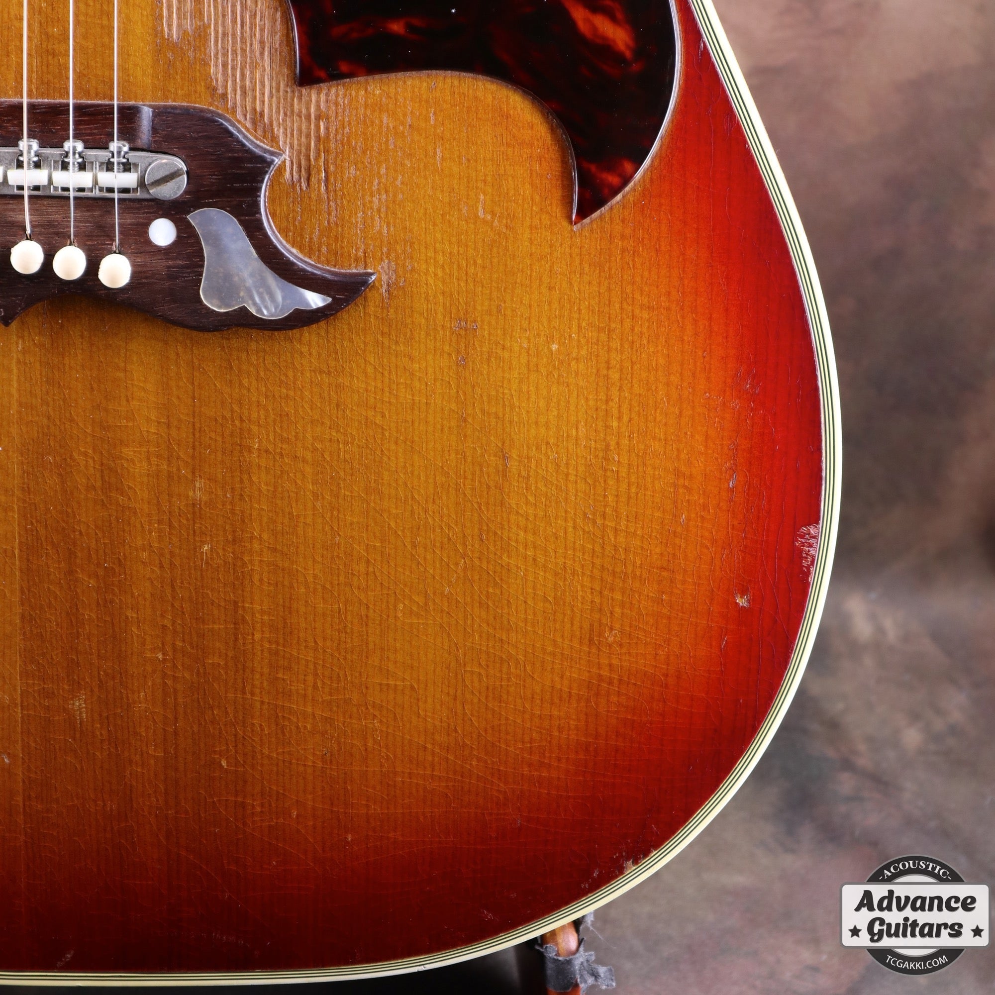 1962年製 Dove - TC楽器 - TCGAKKI