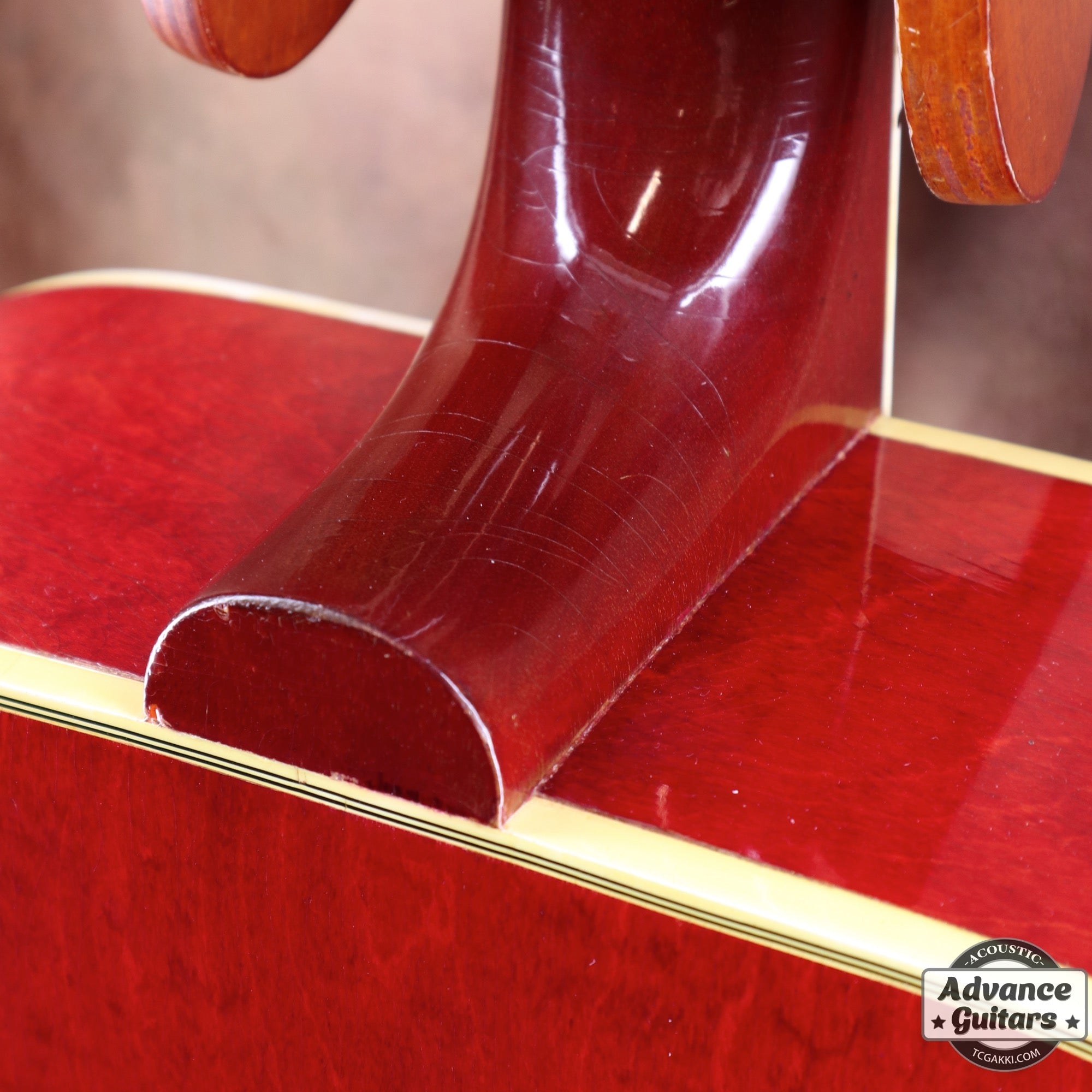 1962年製 Dove - TC楽器 - TCGAKKI