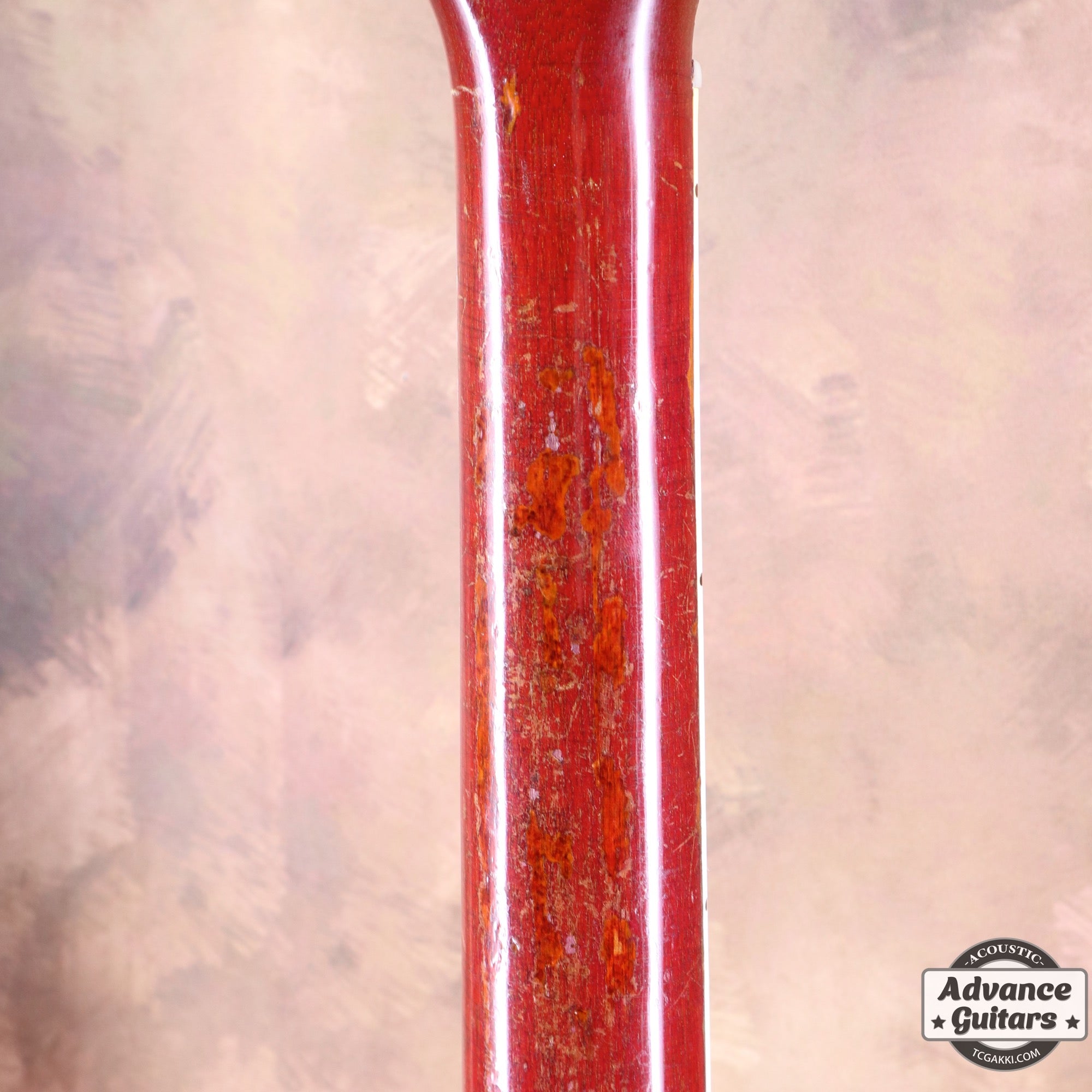 1962年製 Dove - TC楽器 - TCGAKKI