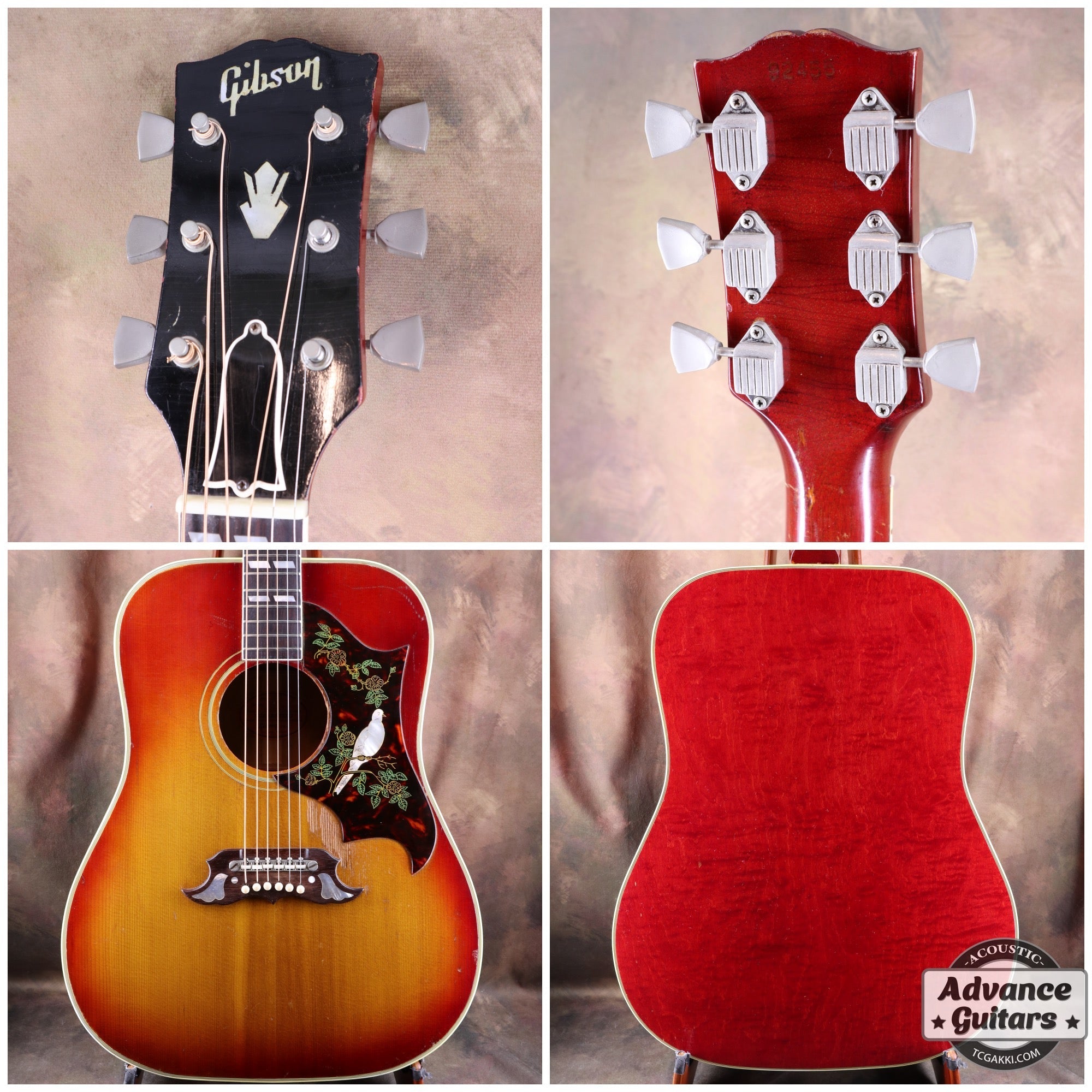 1962年製 Dove - TC楽器 - TCGAKKI