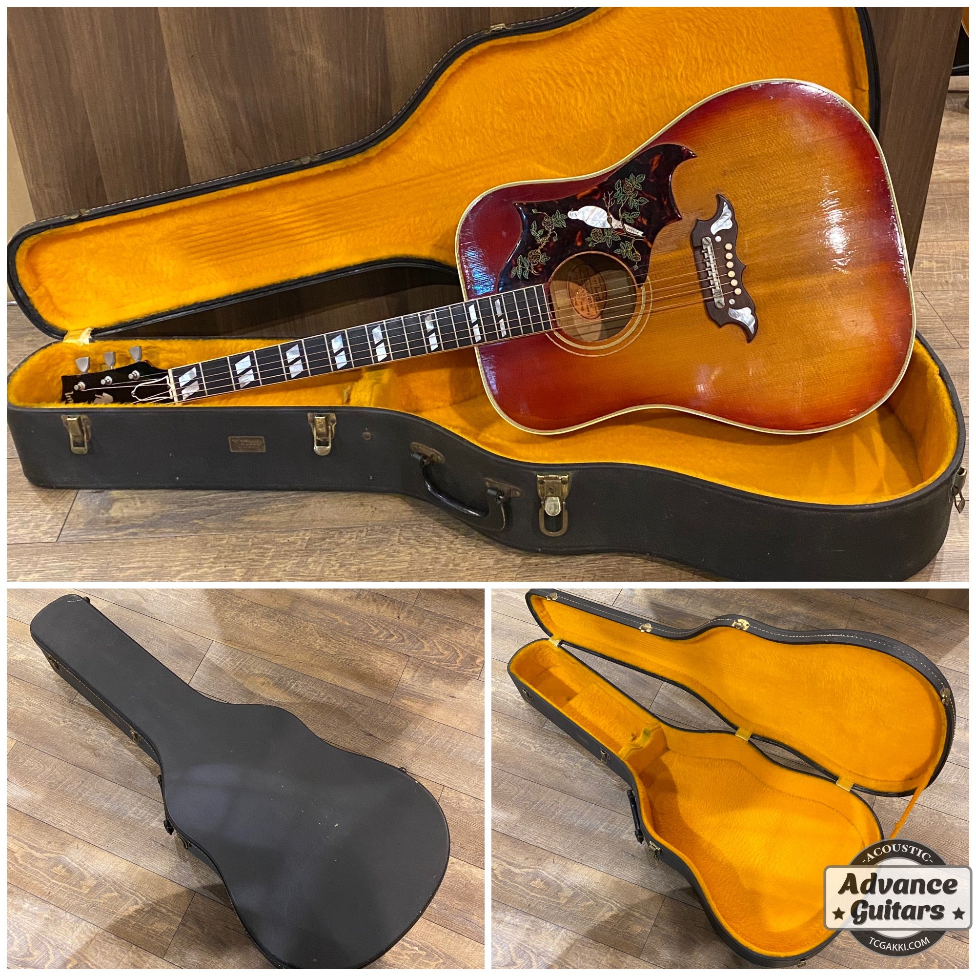 1962年製 Dove - TC楽器 - TCGAKKI