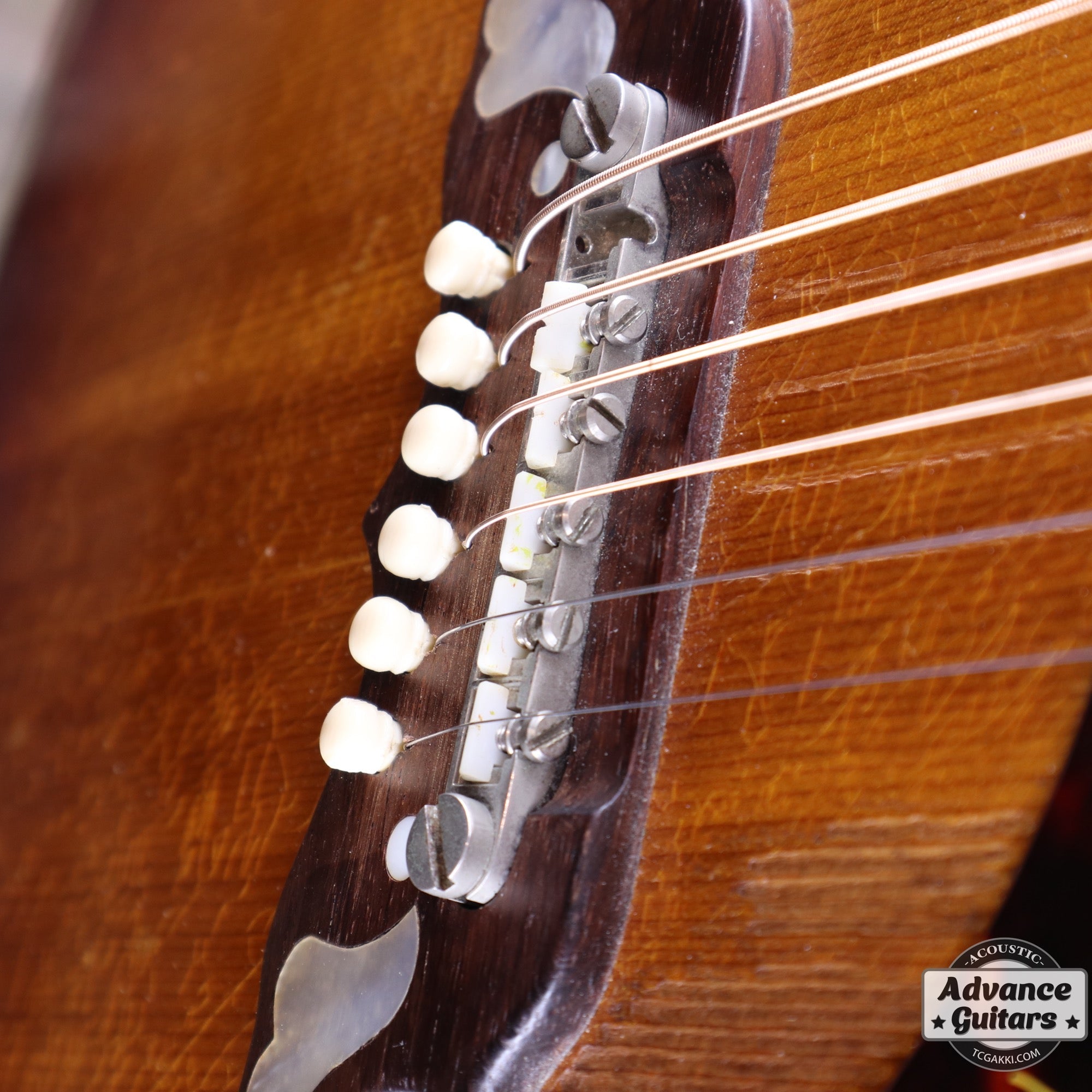 1962年製 Dove - TC楽器 - TCGAKKI