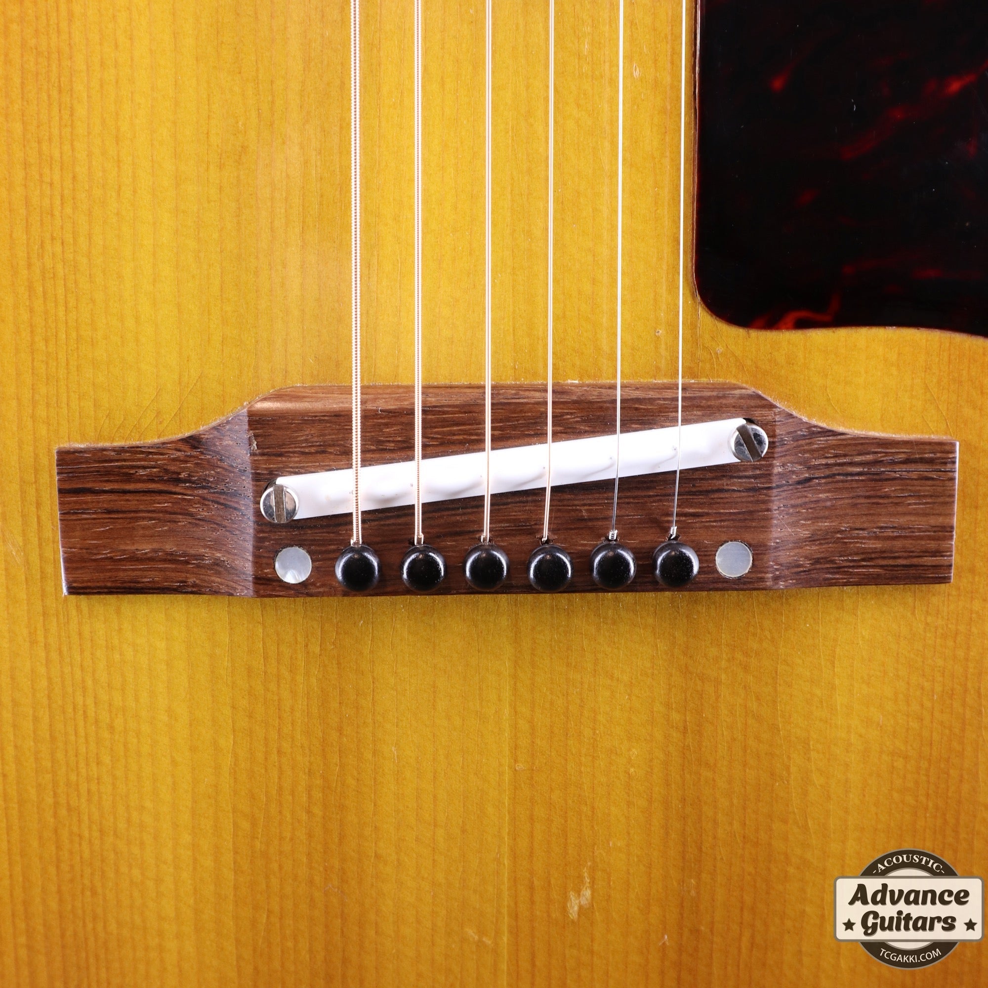 1962年製 LG - 2 - TC楽器 - TCGAKKI