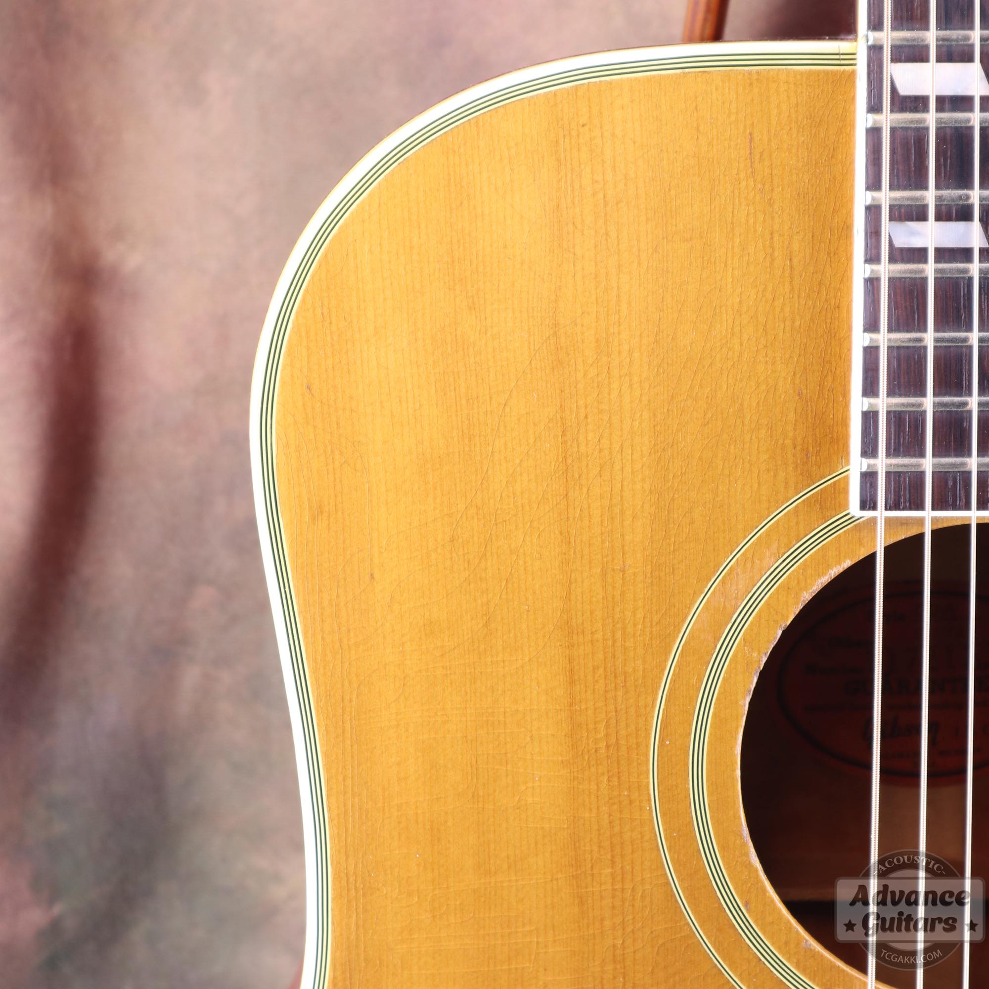 1963年製 Dove Natural - TC楽器 - TCGAKKI