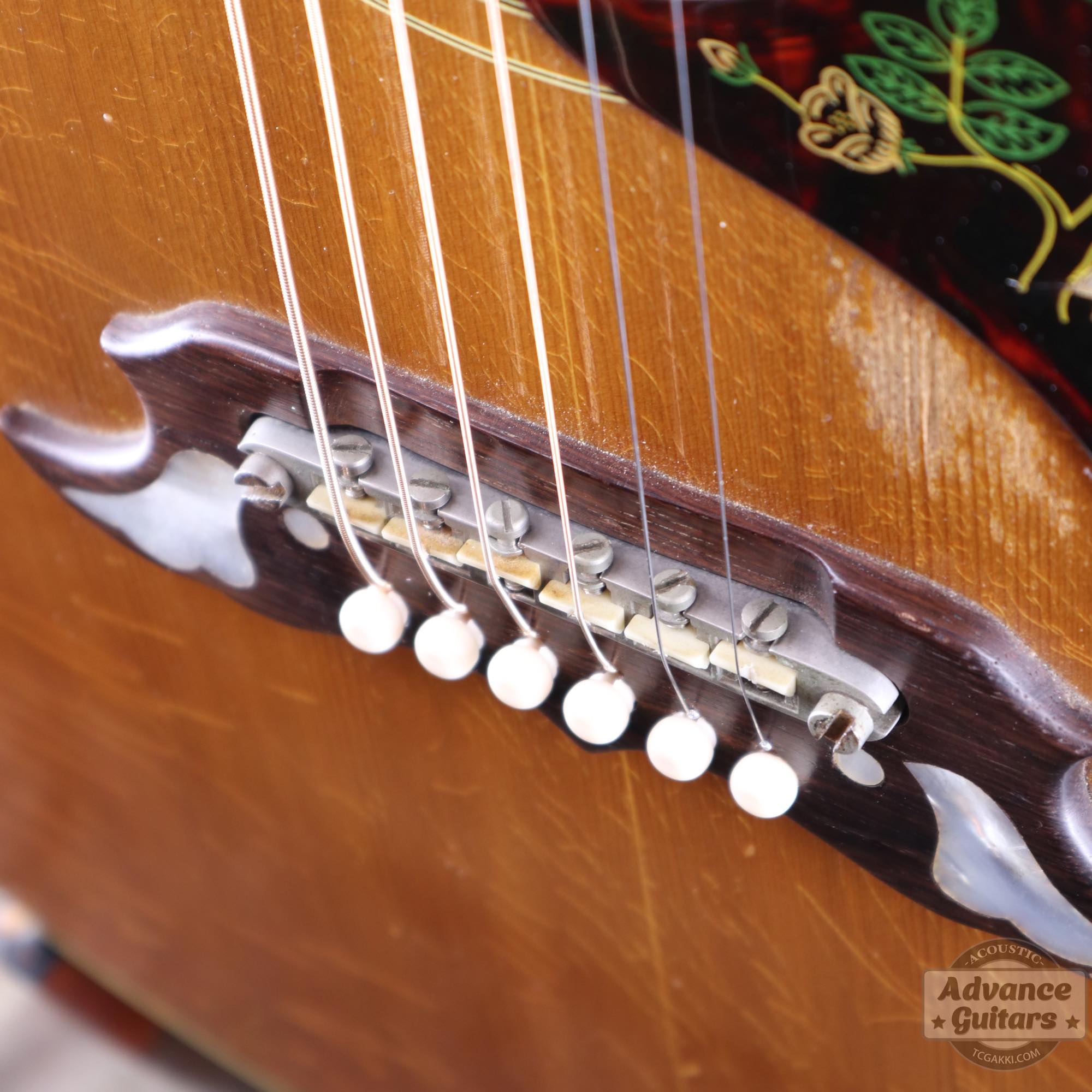 1963年製 Dove Natural - TC楽器 - TCGAKKI