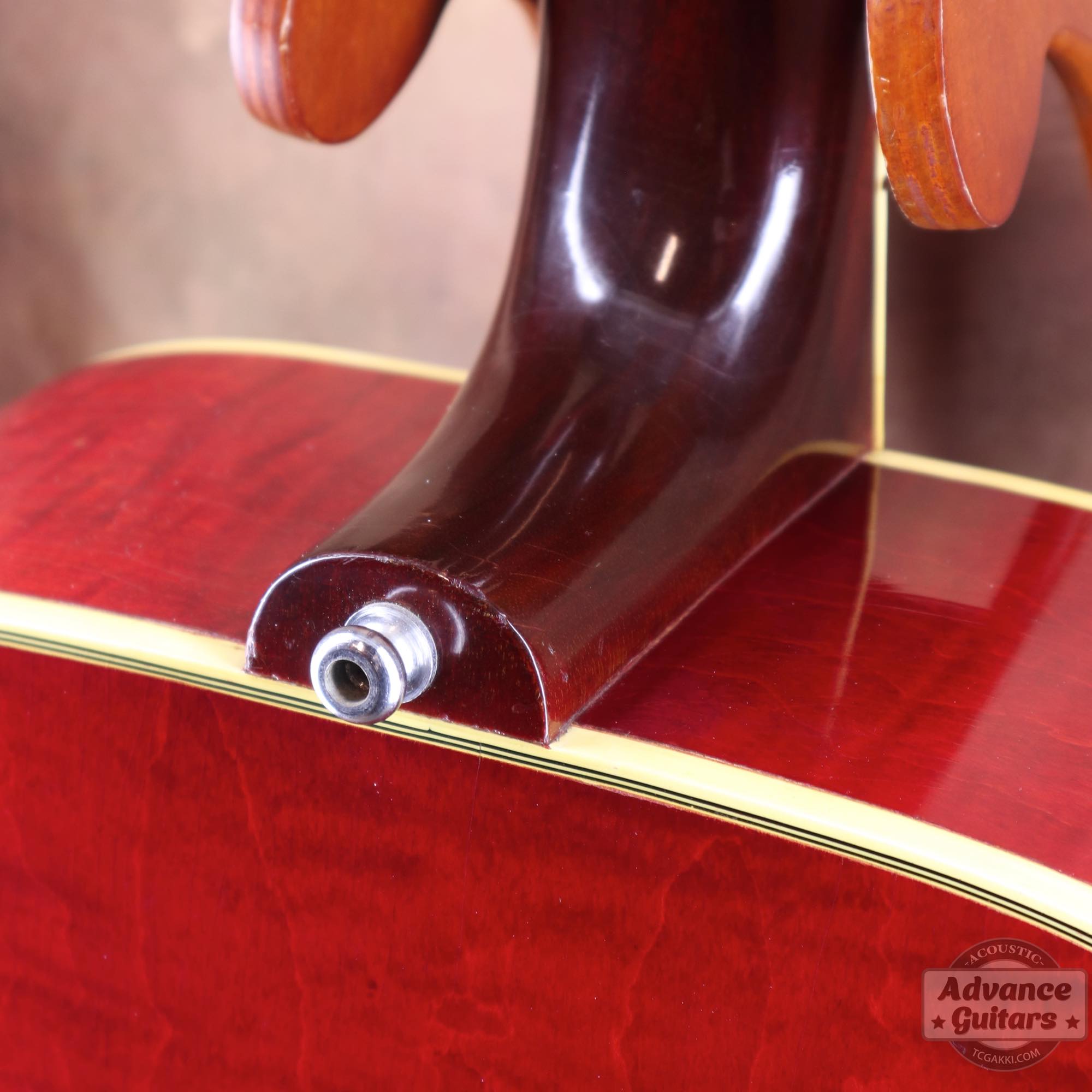 1963年製 Dove Natural - TC楽器 - TCGAKKI