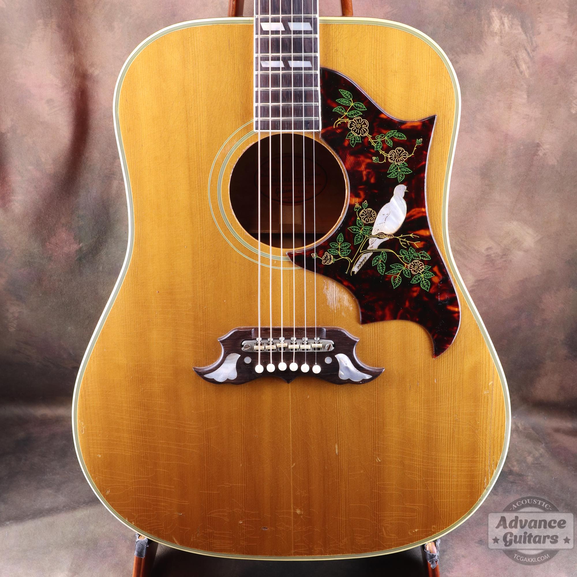 1963年製 Dove Natural - TC楽器 - TCGAKKI