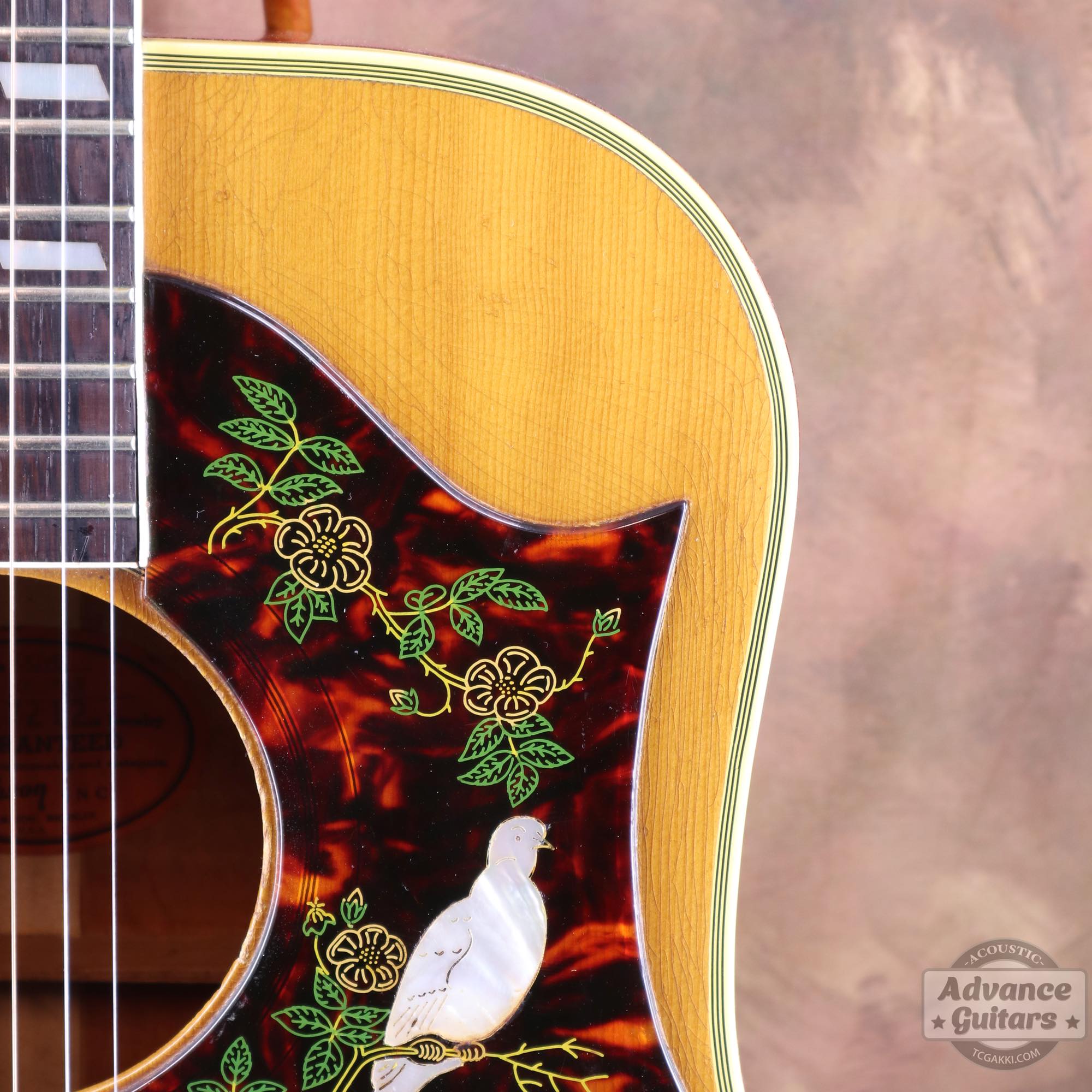 1963年製 Dove Natural - TC楽器 - TCGAKKI