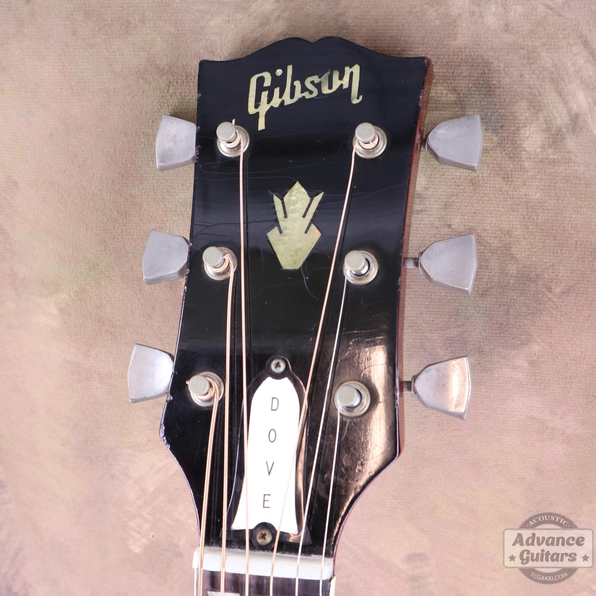 1963年製 Dove Natural - TC楽器 - TCGAKKI