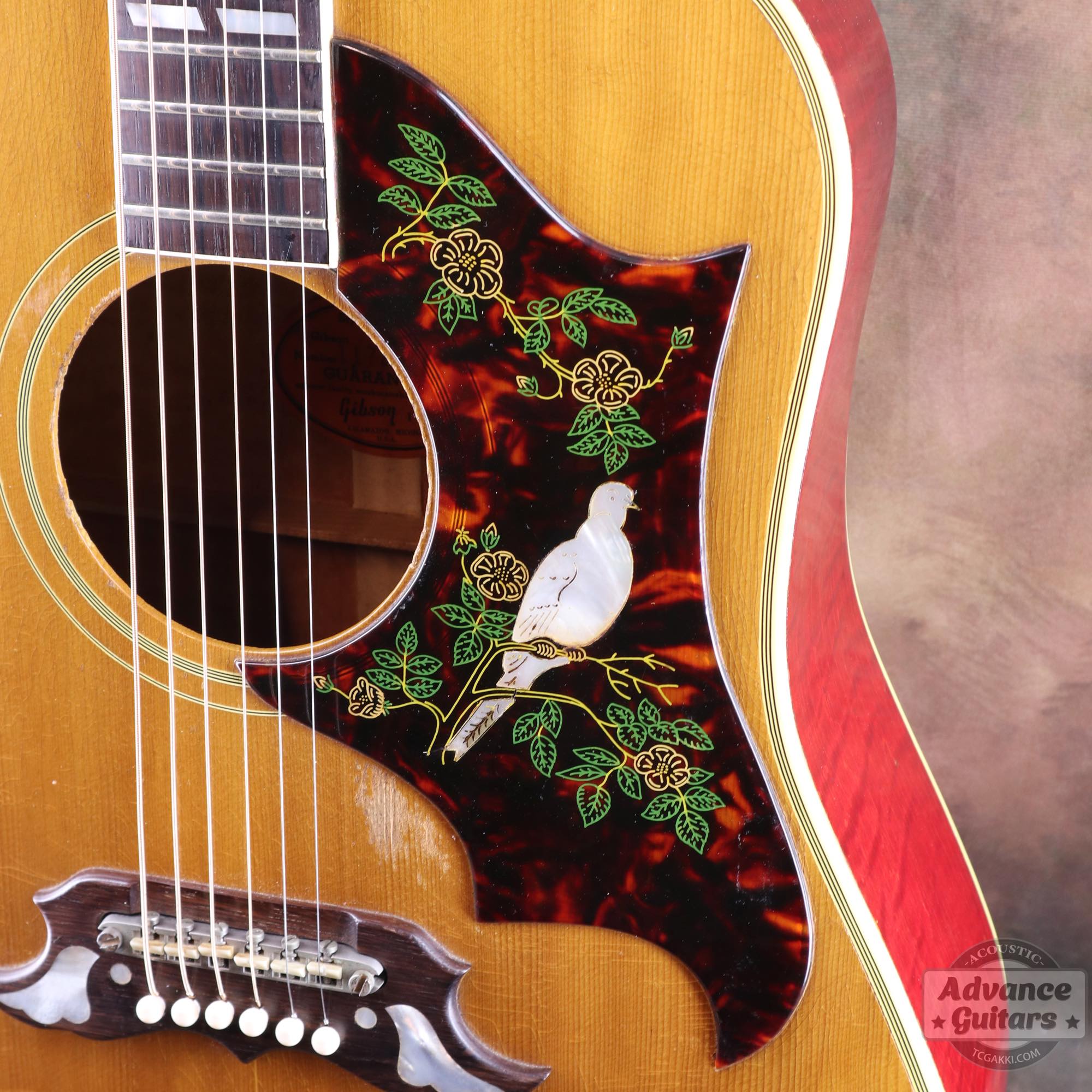 1963年製 Dove Natural - TC楽器 - TCGAKKI