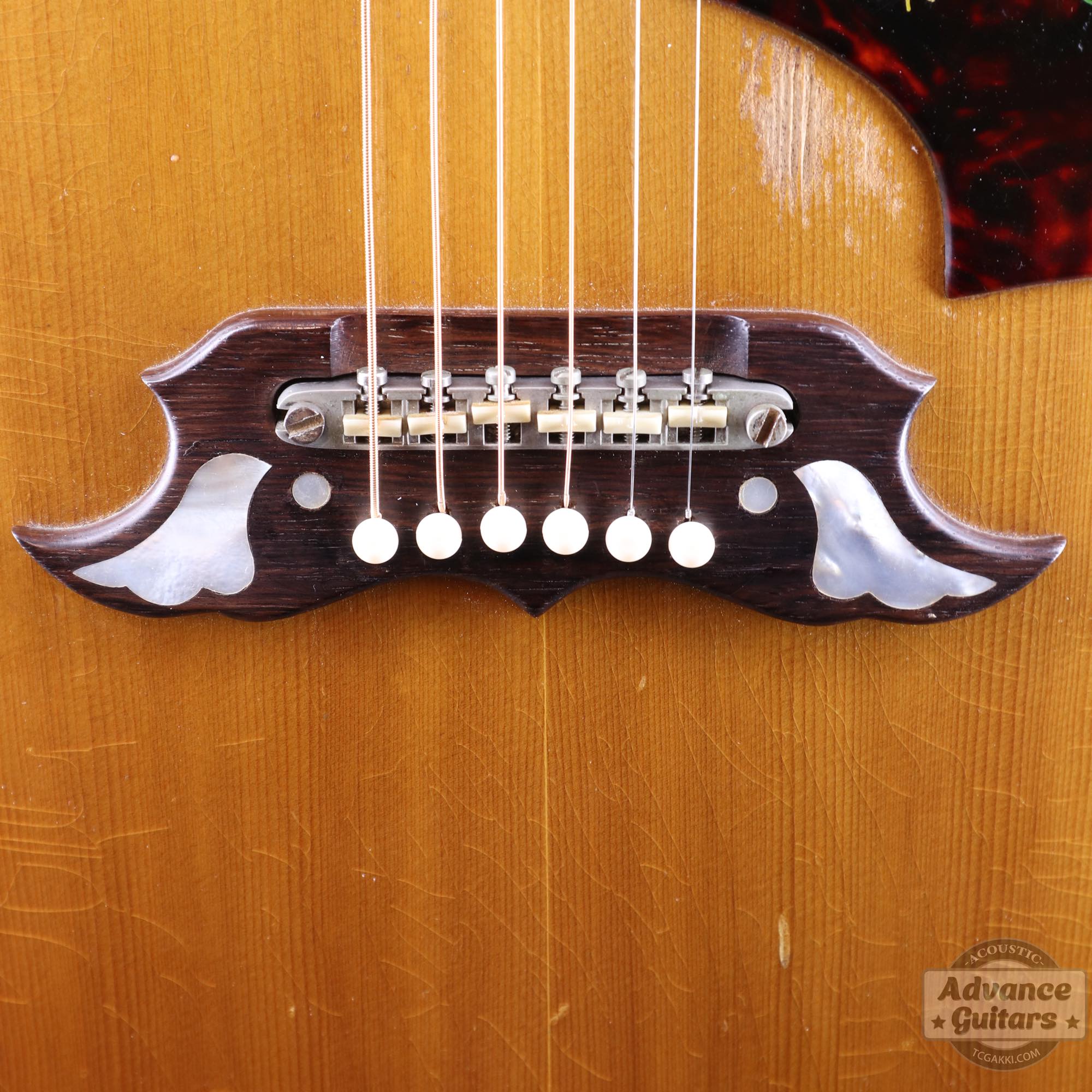 1963年製 Dove Natural - TC楽器 - TCGAKKI