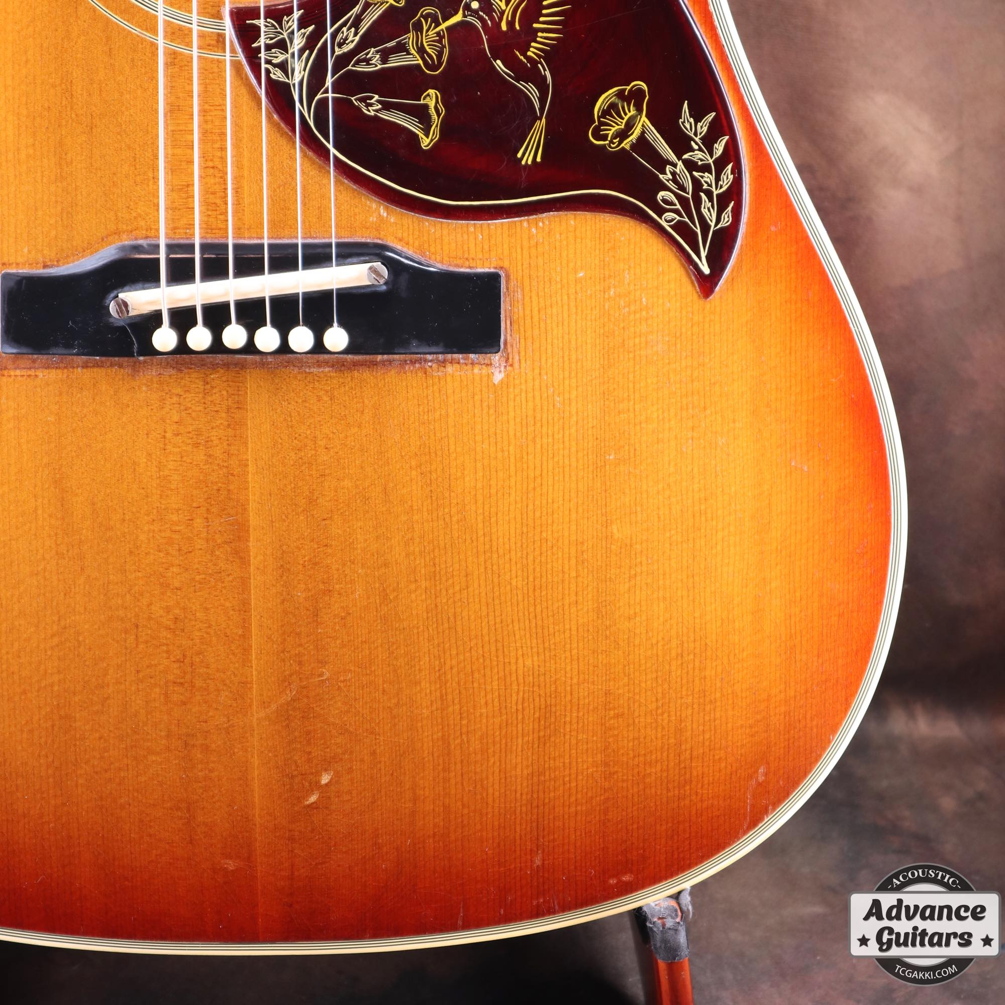 1963年製 Hummingbird Cherry Sunburst - TC楽器 - TCGAKKI