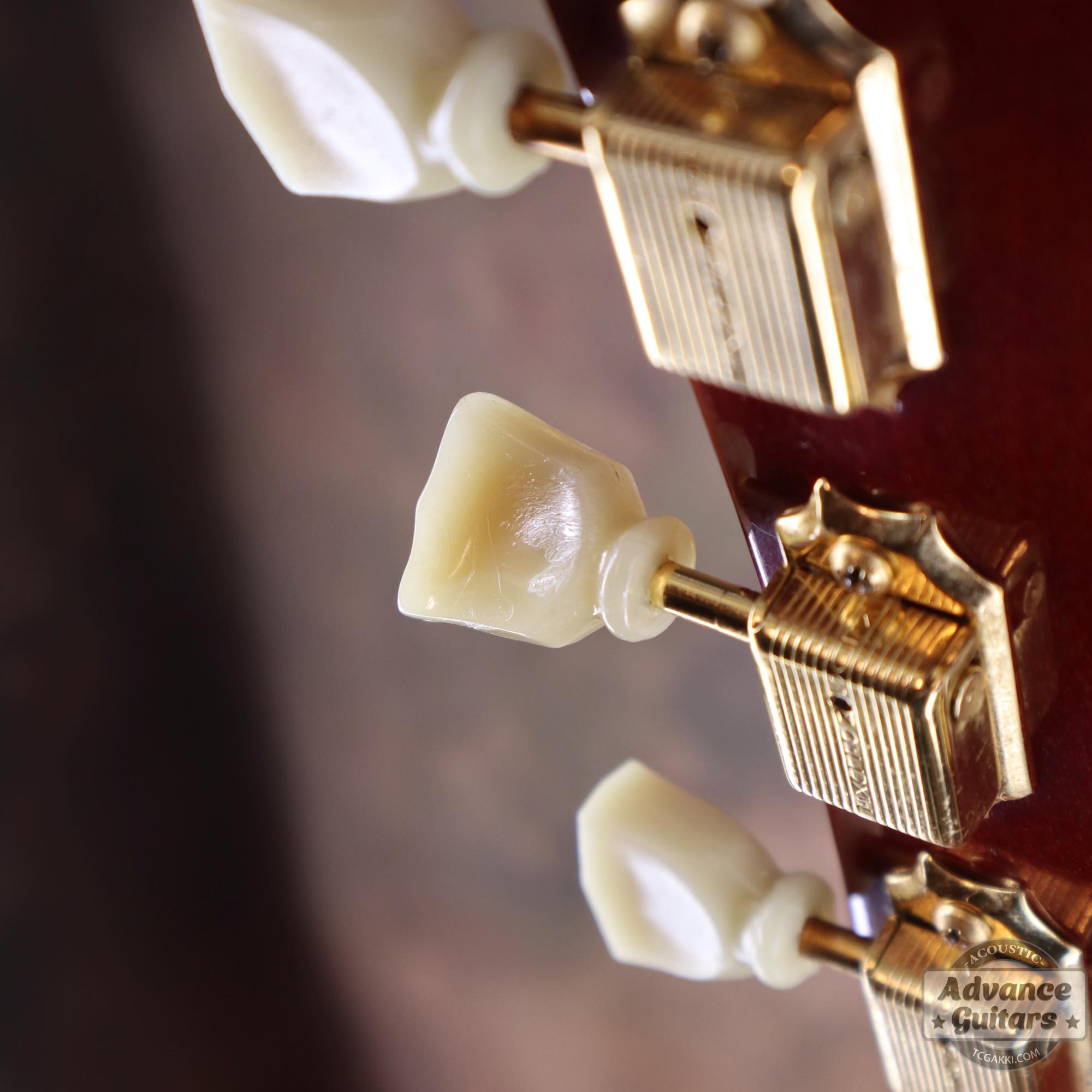 1963年製 Hummingbird Maple - TC楽器 - TCGAKKI