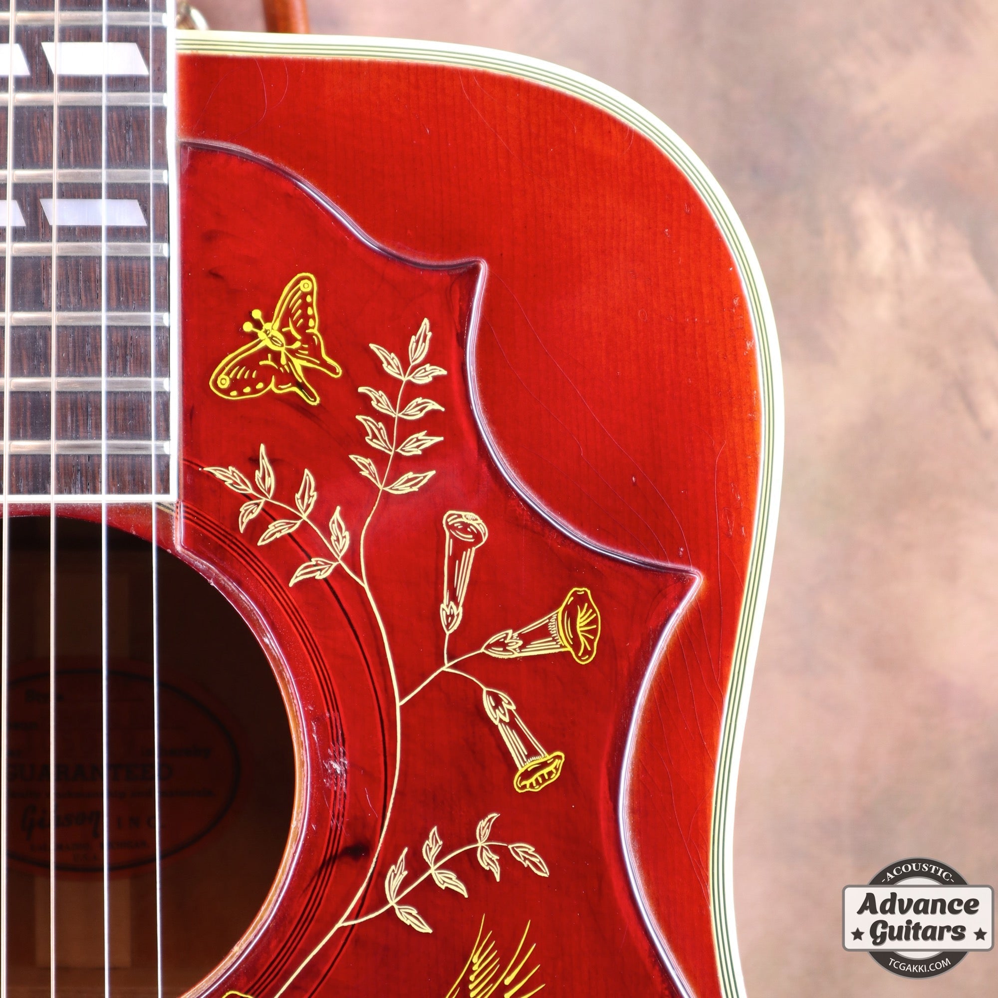 1963年製 Hummingbird Maple - TC楽器 - TCGAKKI