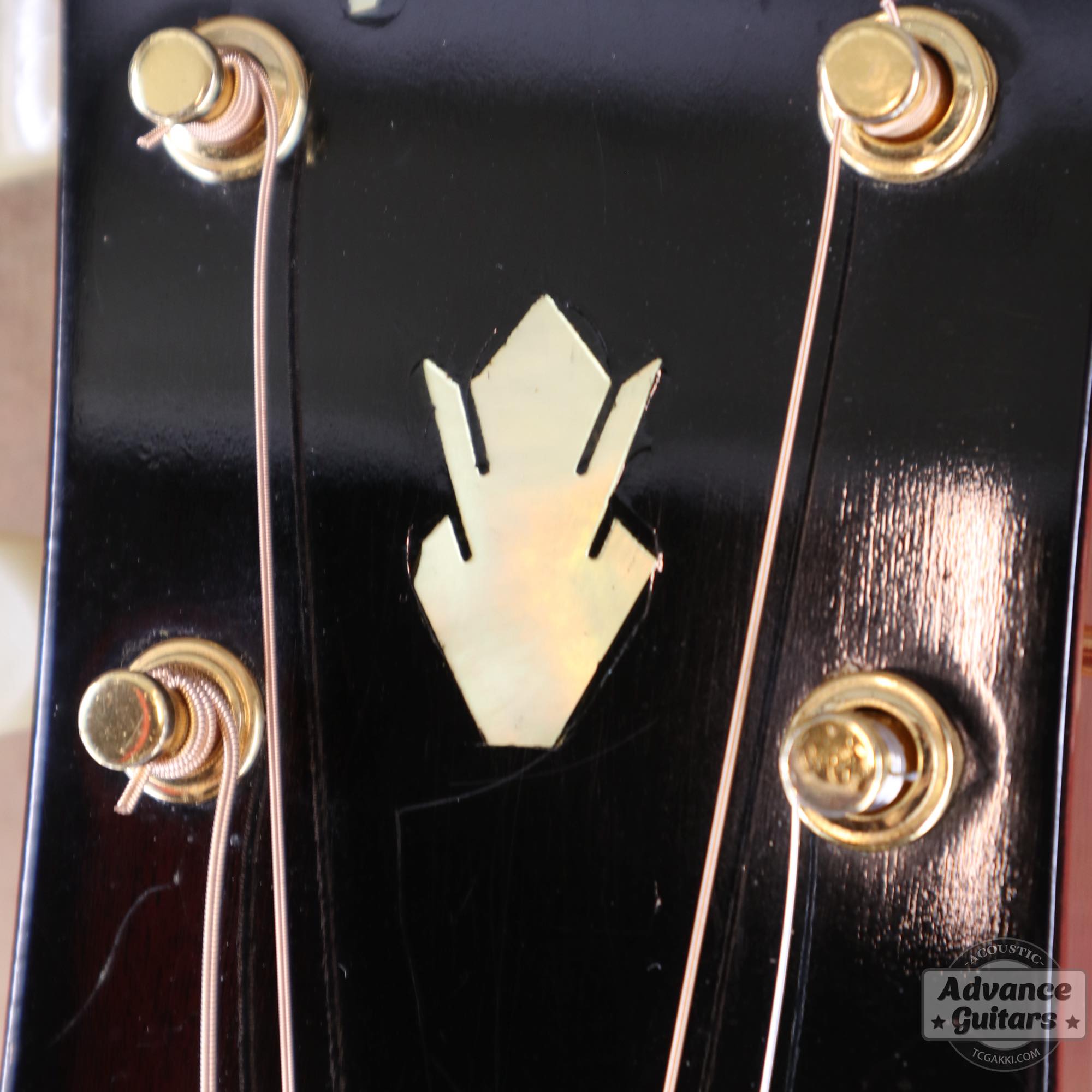 1963年製 Hummingbird Maple - TC楽器 - TCGAKKI