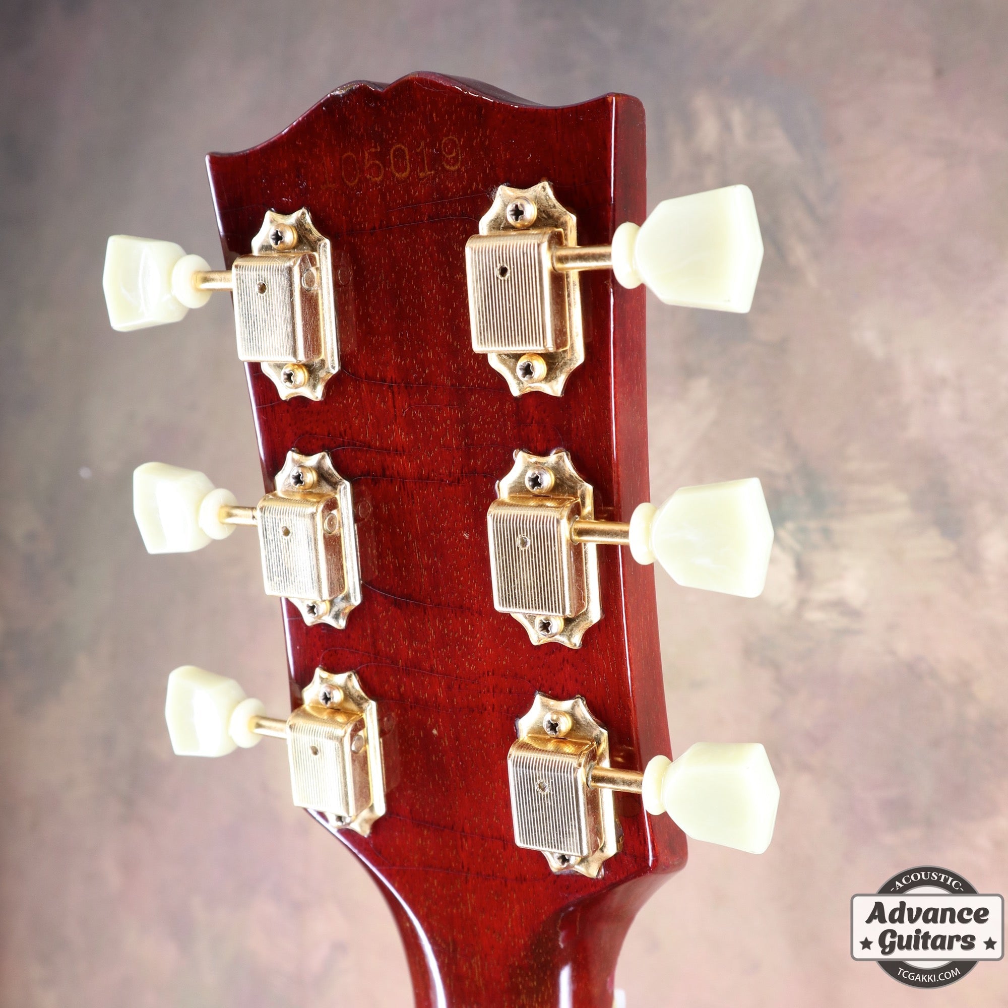 1963年製 Hummingbird Maple - TC楽器 - TCGAKKI