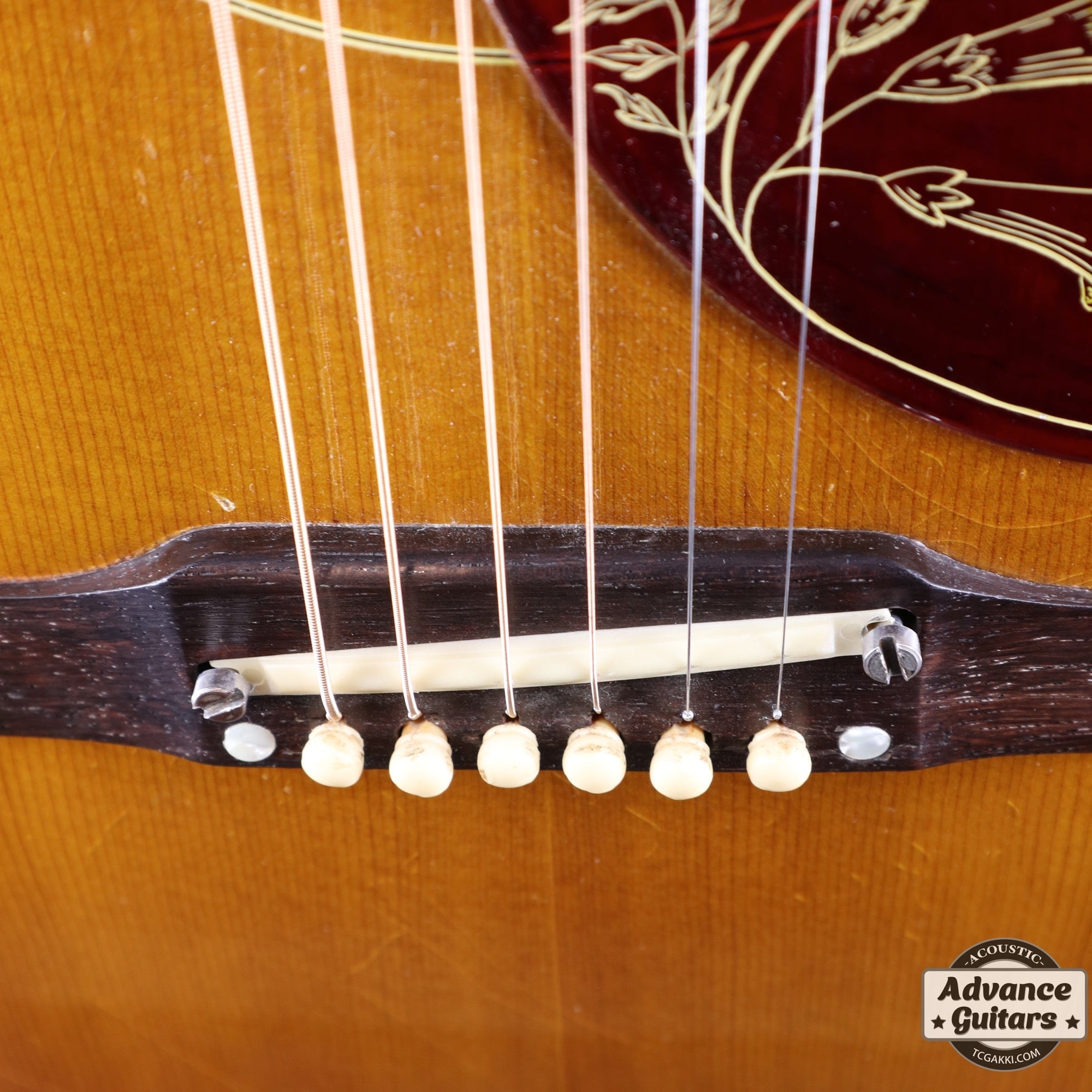 1963年製 Hummingbird Maple - TC楽器 - TCGAKKI