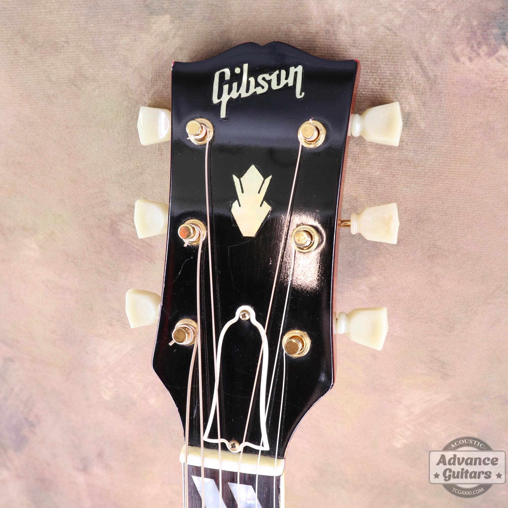 1963年製 Hummingbird Maple - TC楽器 - TCGAKKI