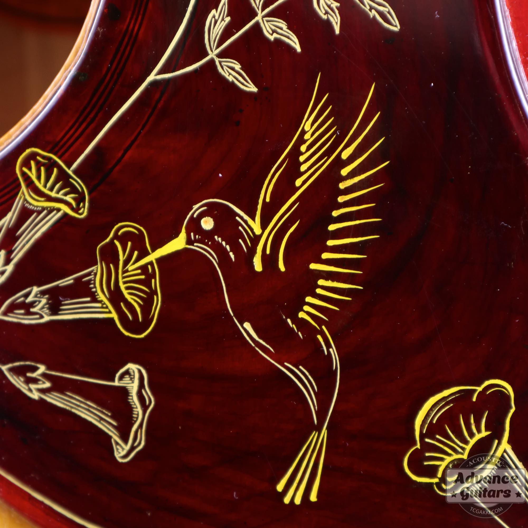 1963年製 Hummingbird Maple - TC楽器 - TCGAKKI