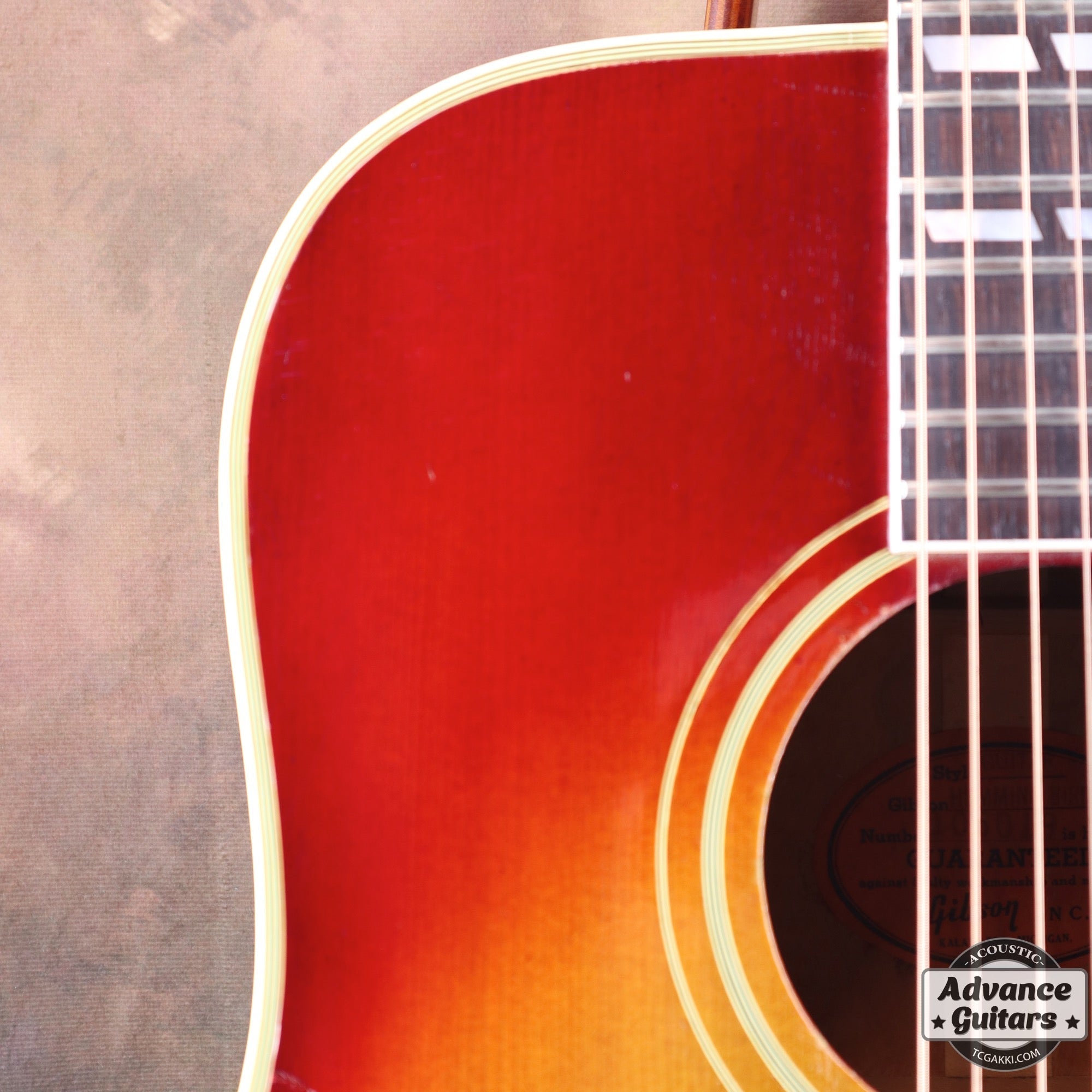 1963年製 Hummingbird Maple - TC楽器 - TCGAKKI